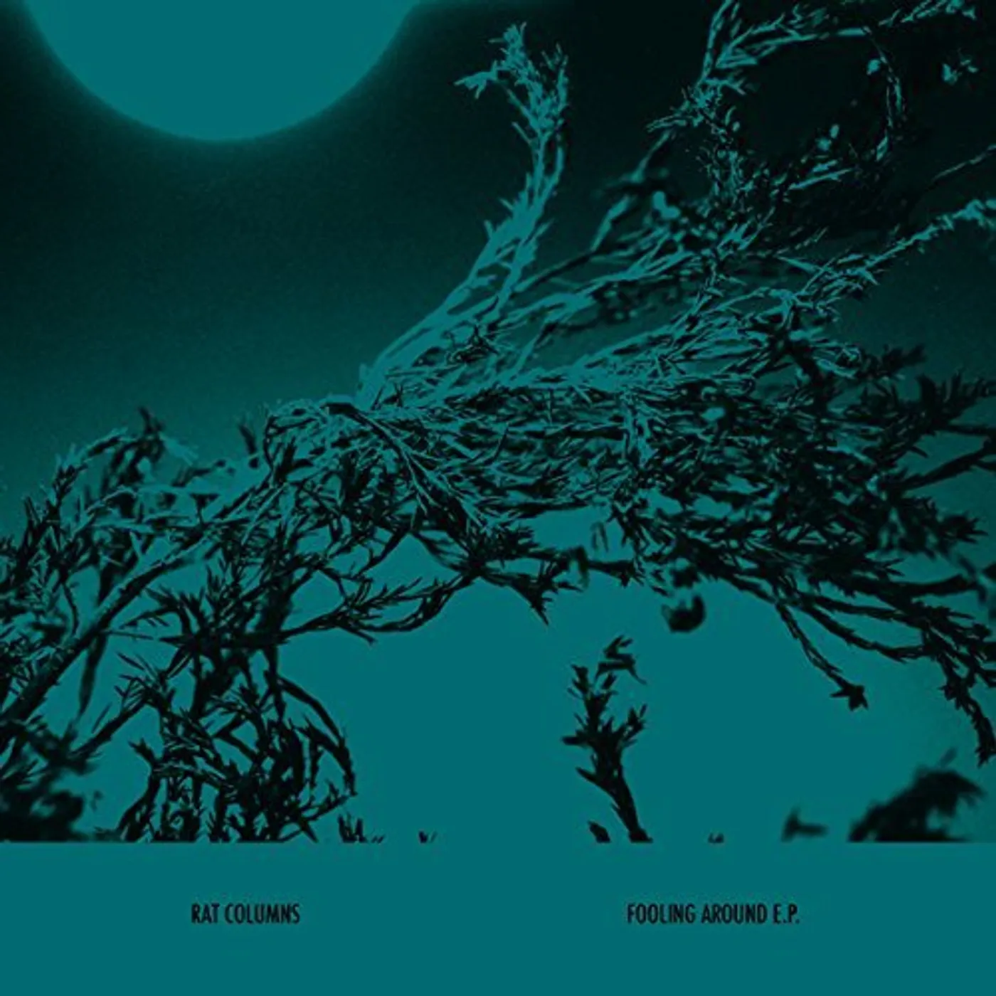 Rat Columns Fooling Around Vinyl Record