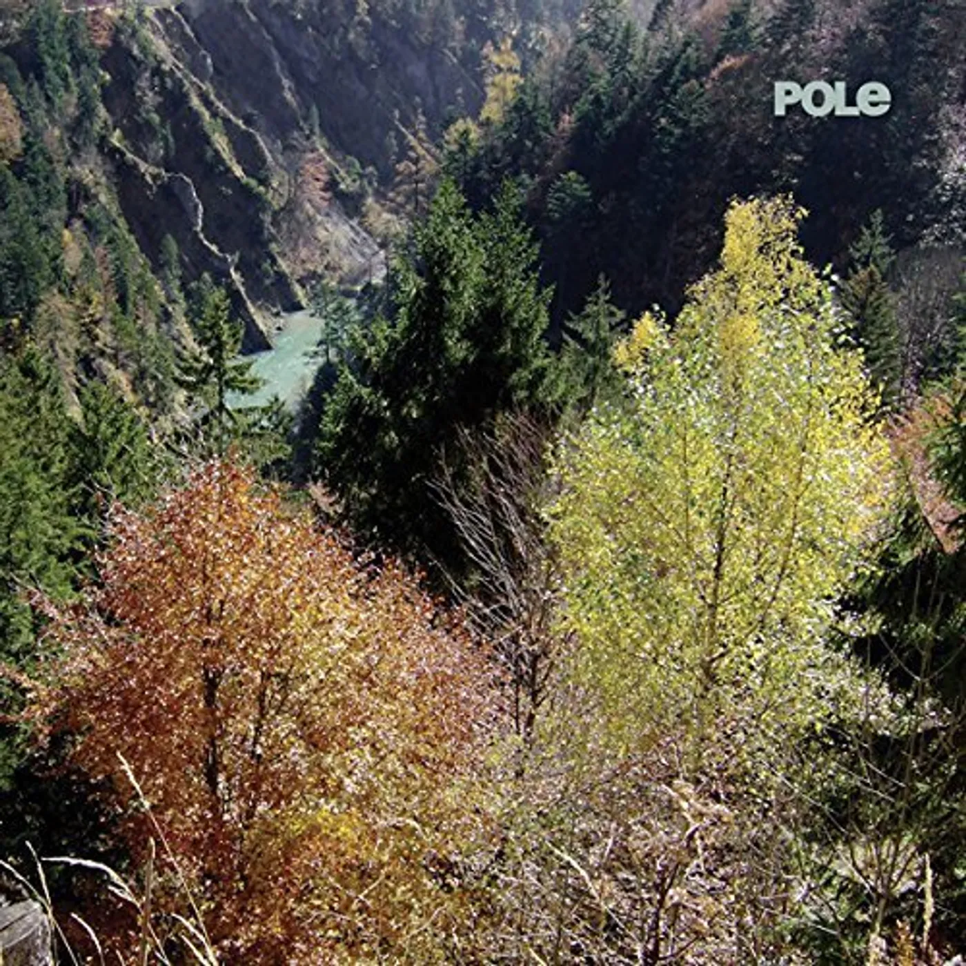Pole Wald Vinyl Record