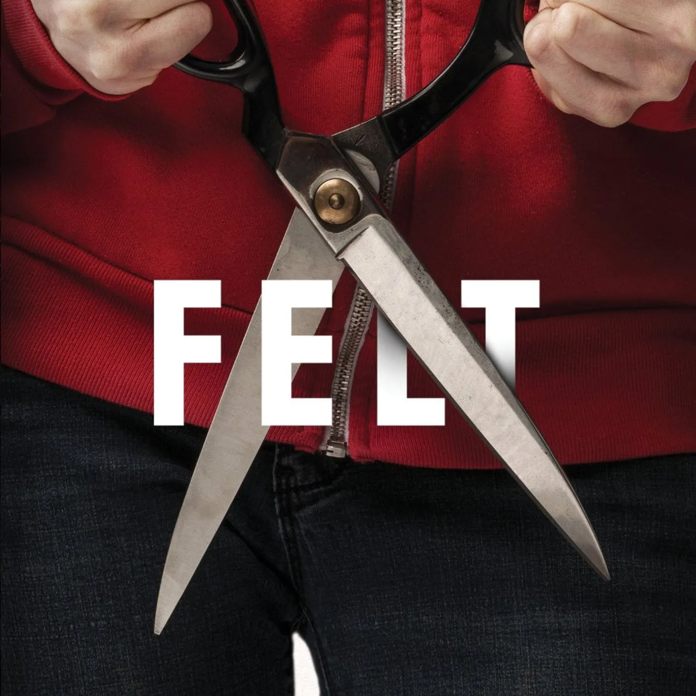 FELT DVD
