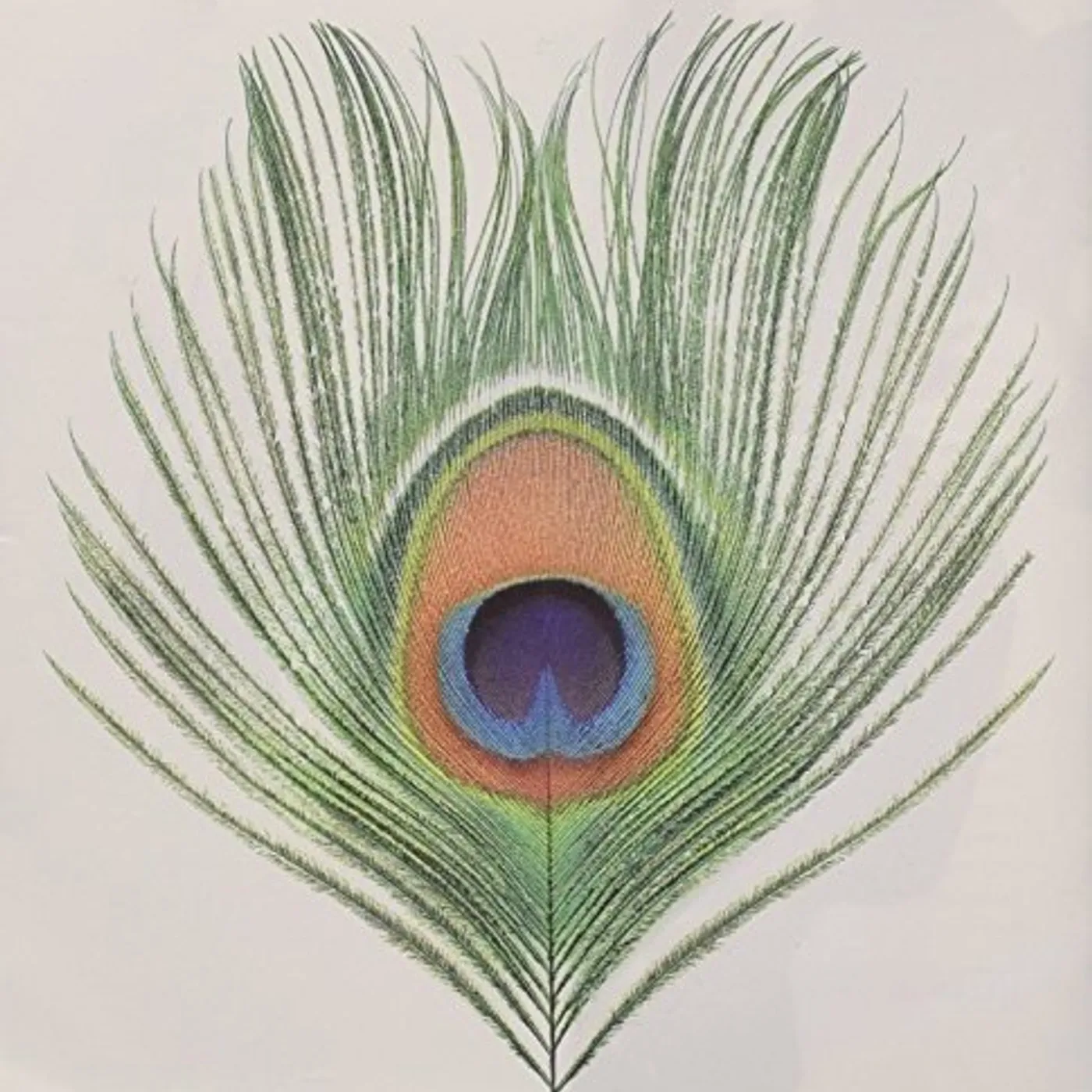 XTC APPLE VENUS 1 CD