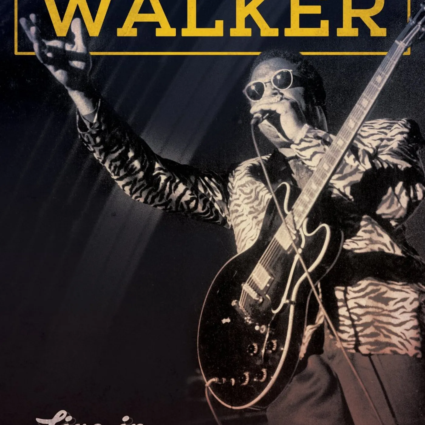 Joe Louis Walker LIVE IN ISTANBUL DVD