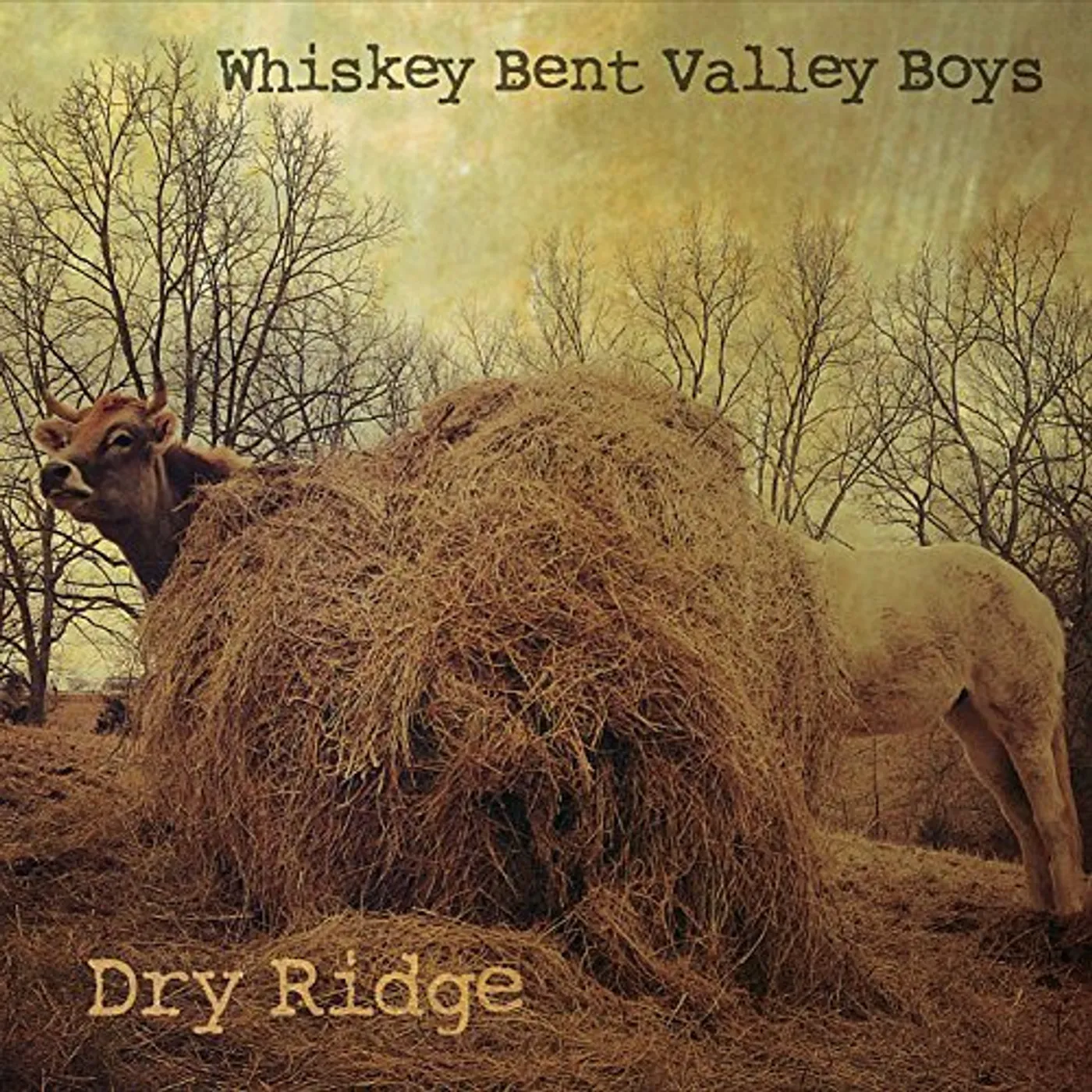 Whiskey Bent Valley Boys DRY RIDGE CD