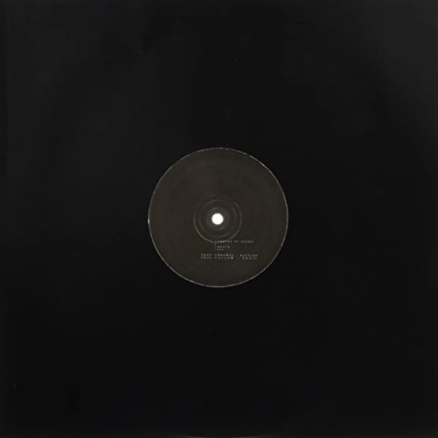 Bnjmn Chromed Vinyl Record