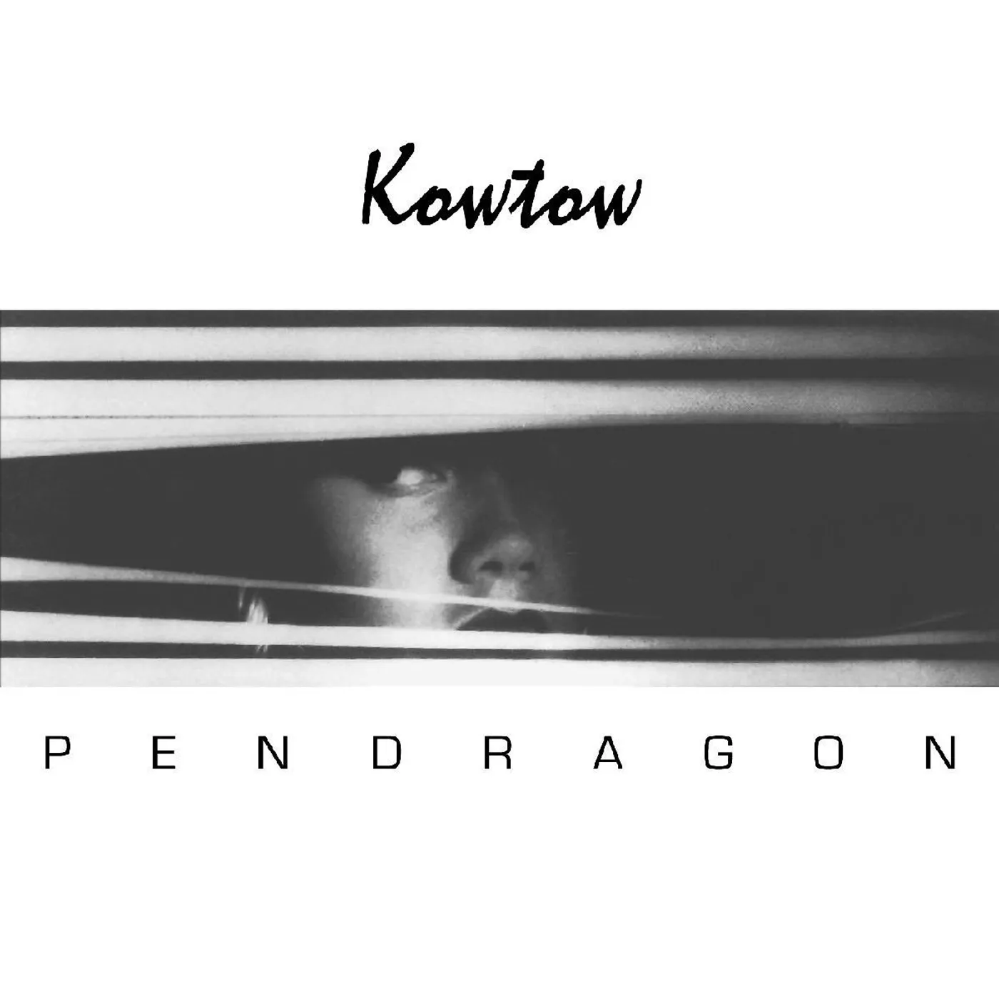 Pendragon Kowtow Vinyl Record