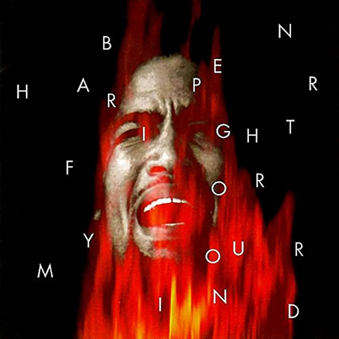 Ben Harper Fight For Your Mind Vinyl Record