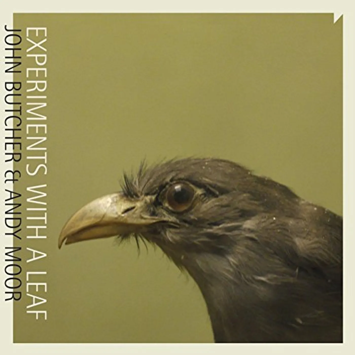 John Butcher EXPERIMENTS WITH A LEAF CD