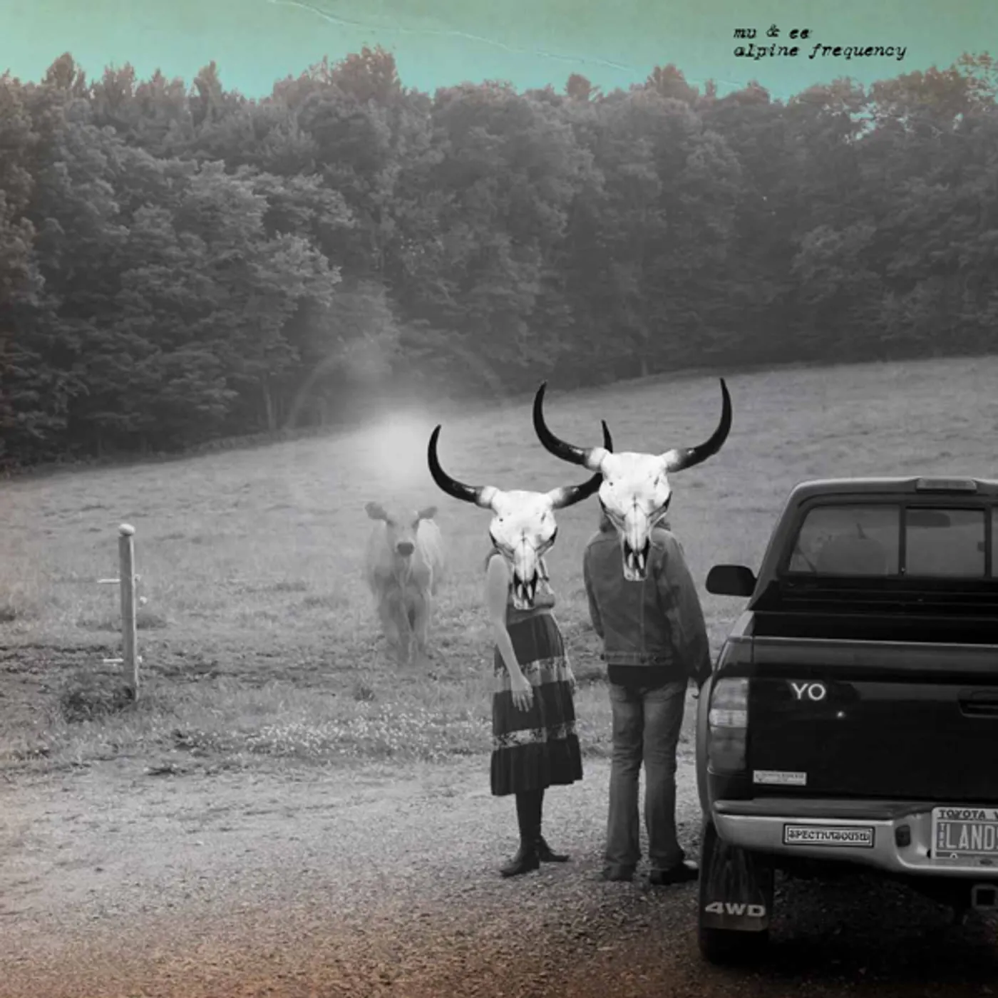 MV & EE ALPINE FREQUENCY Vinyl Record