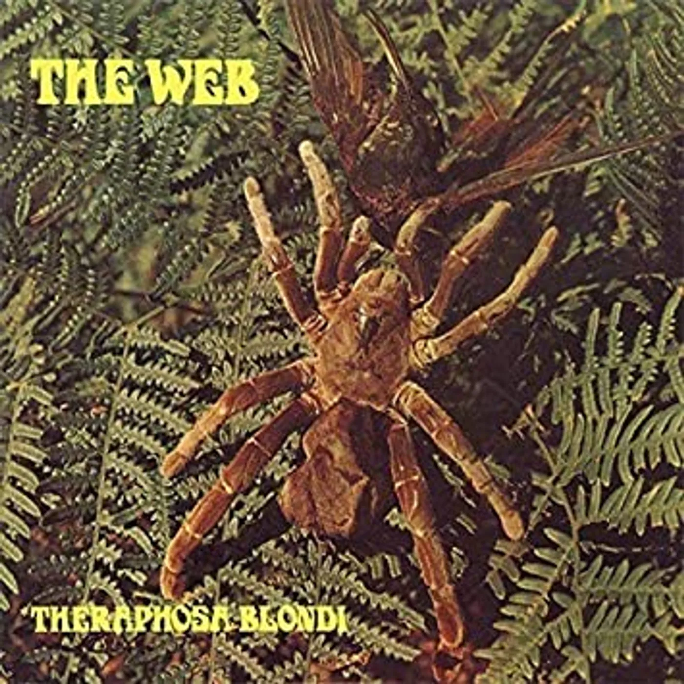 Web THERAPHOSA BLONDI Vinyl Record - Italy Release