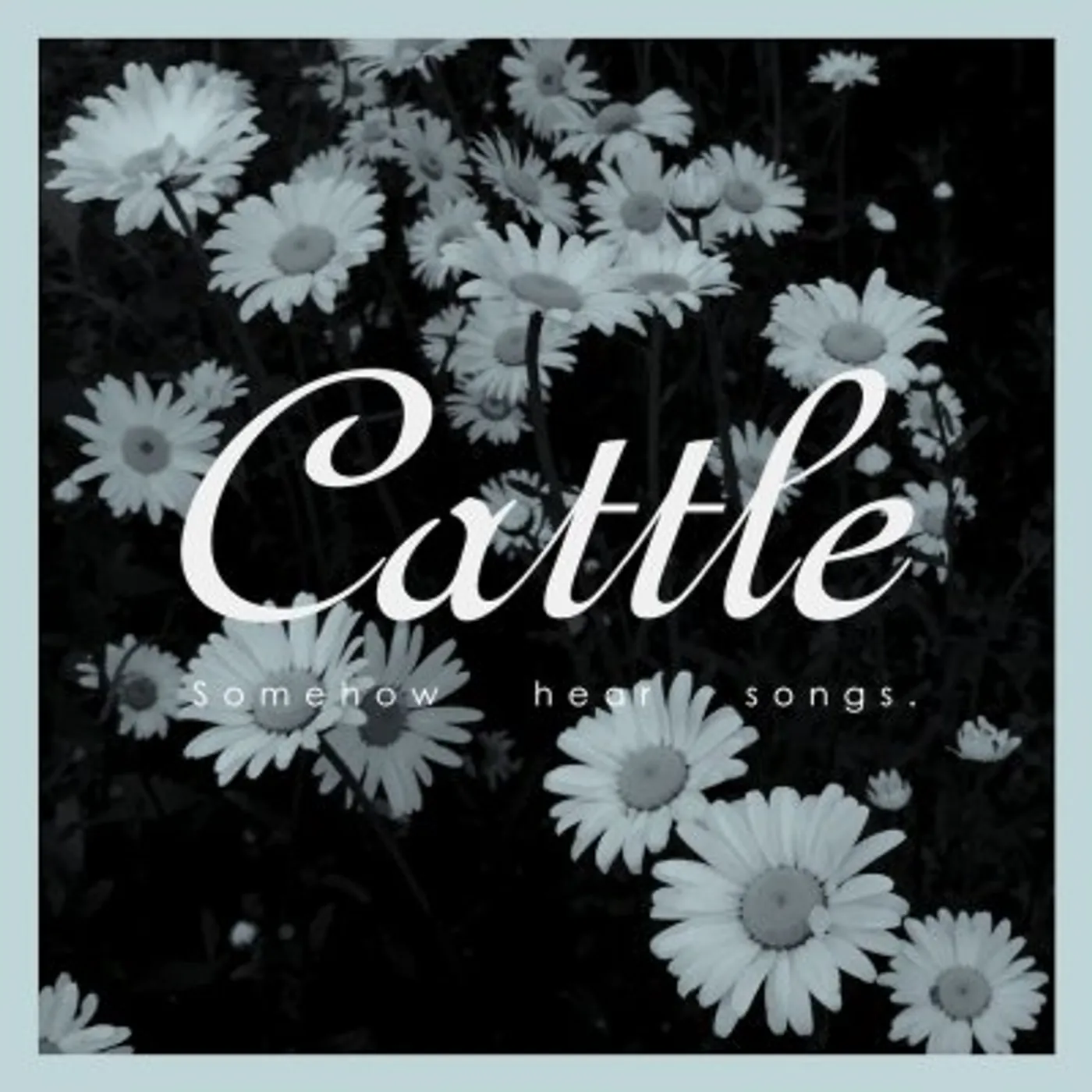 Cattle SOMEHOW HEAR SONGS CD