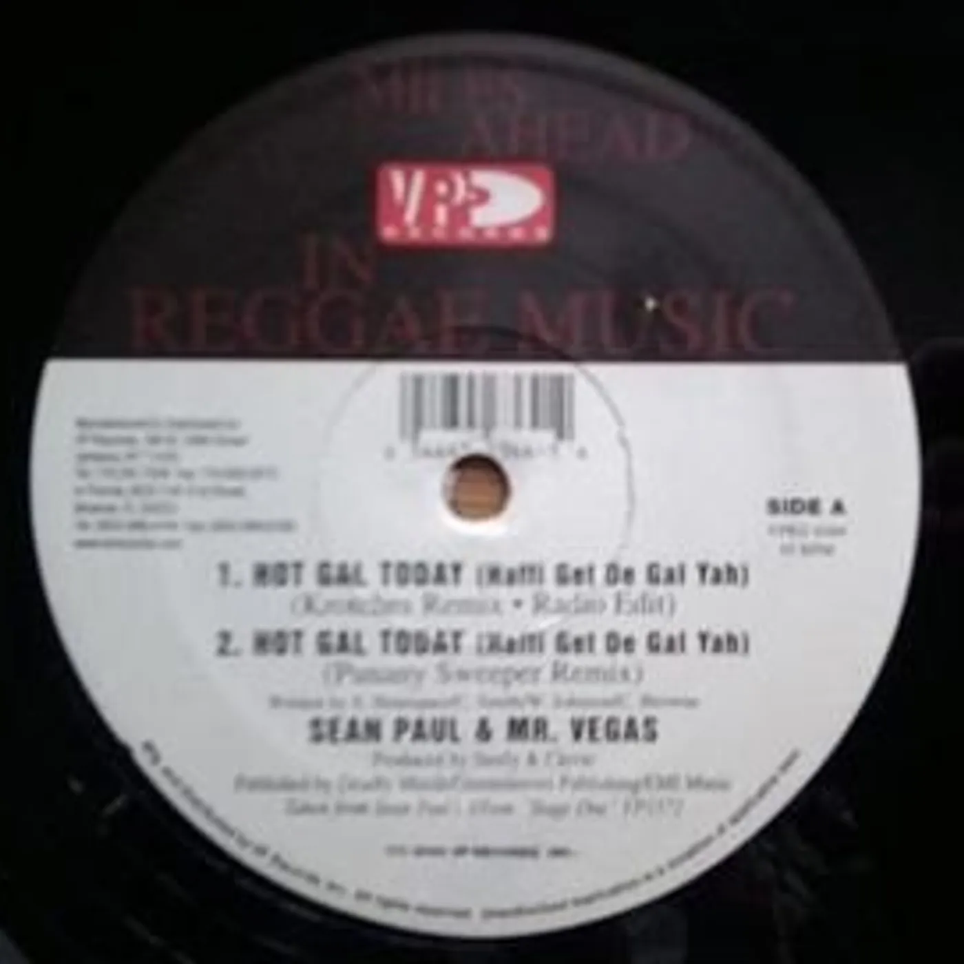Sean Paul Deport Them Vinyl Record
