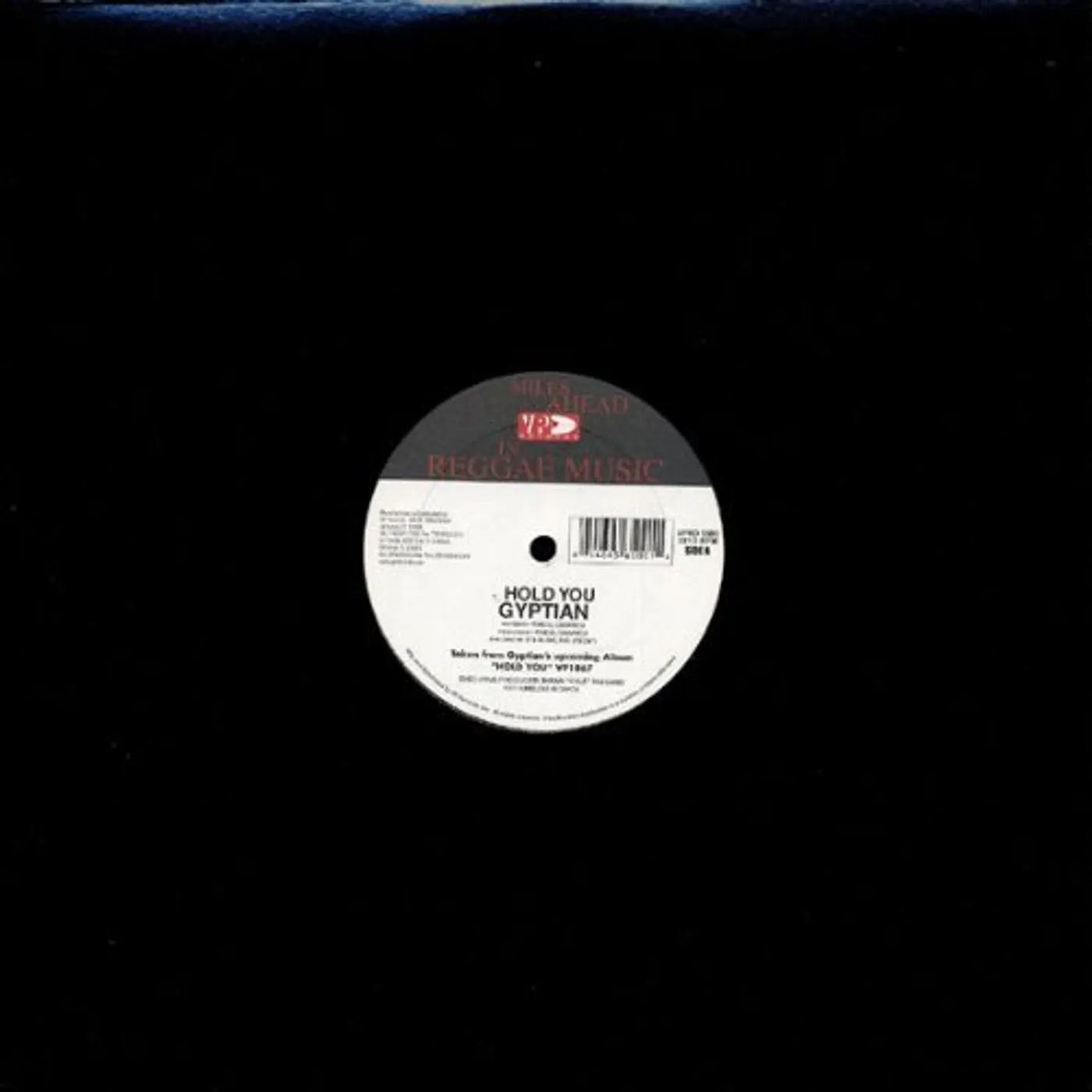 Gyptian Hold You Vinyl Record