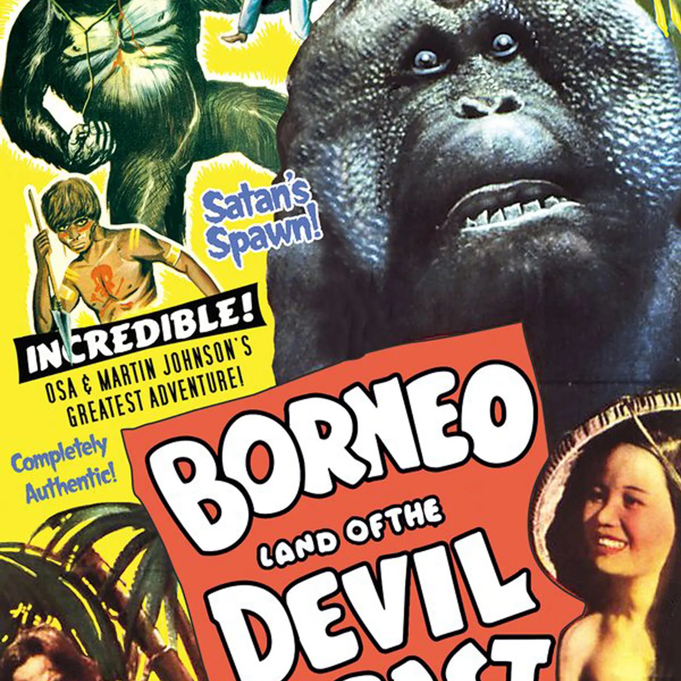 BORNEO DVD