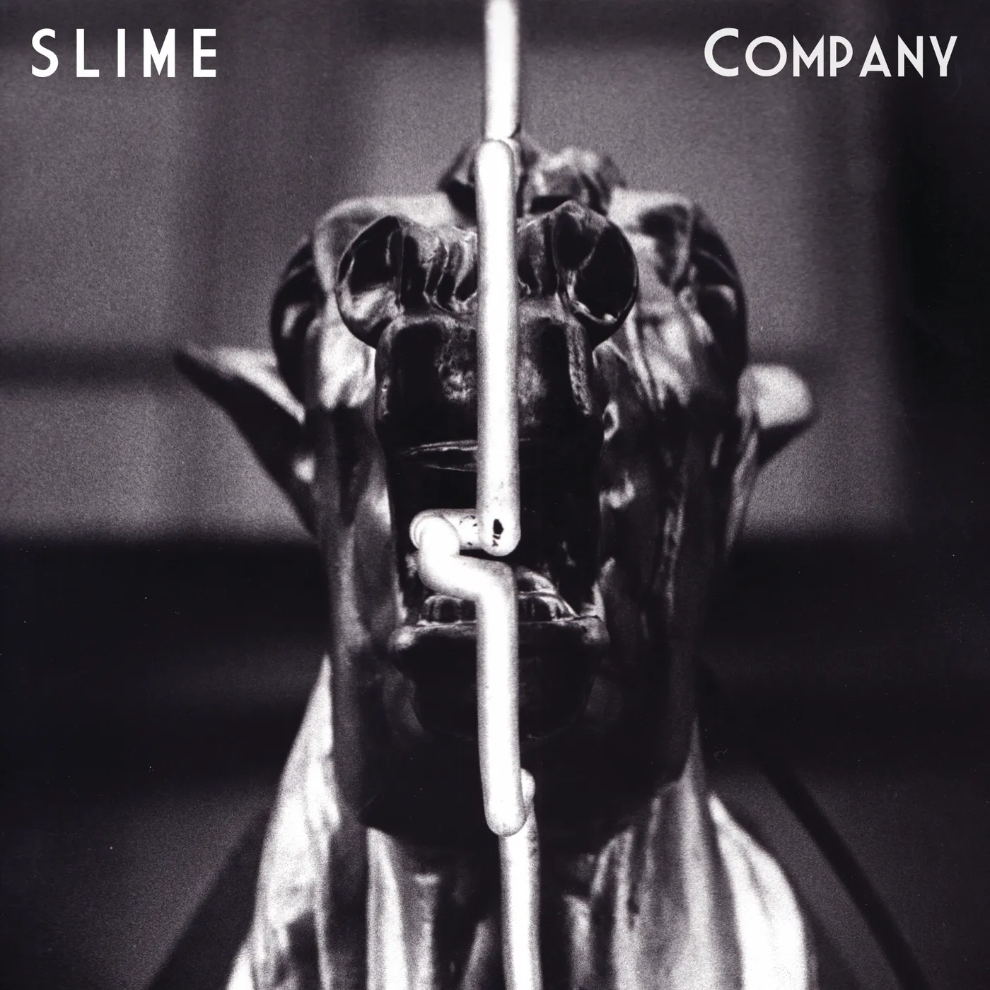 Slime COMPANY Vinyl Record