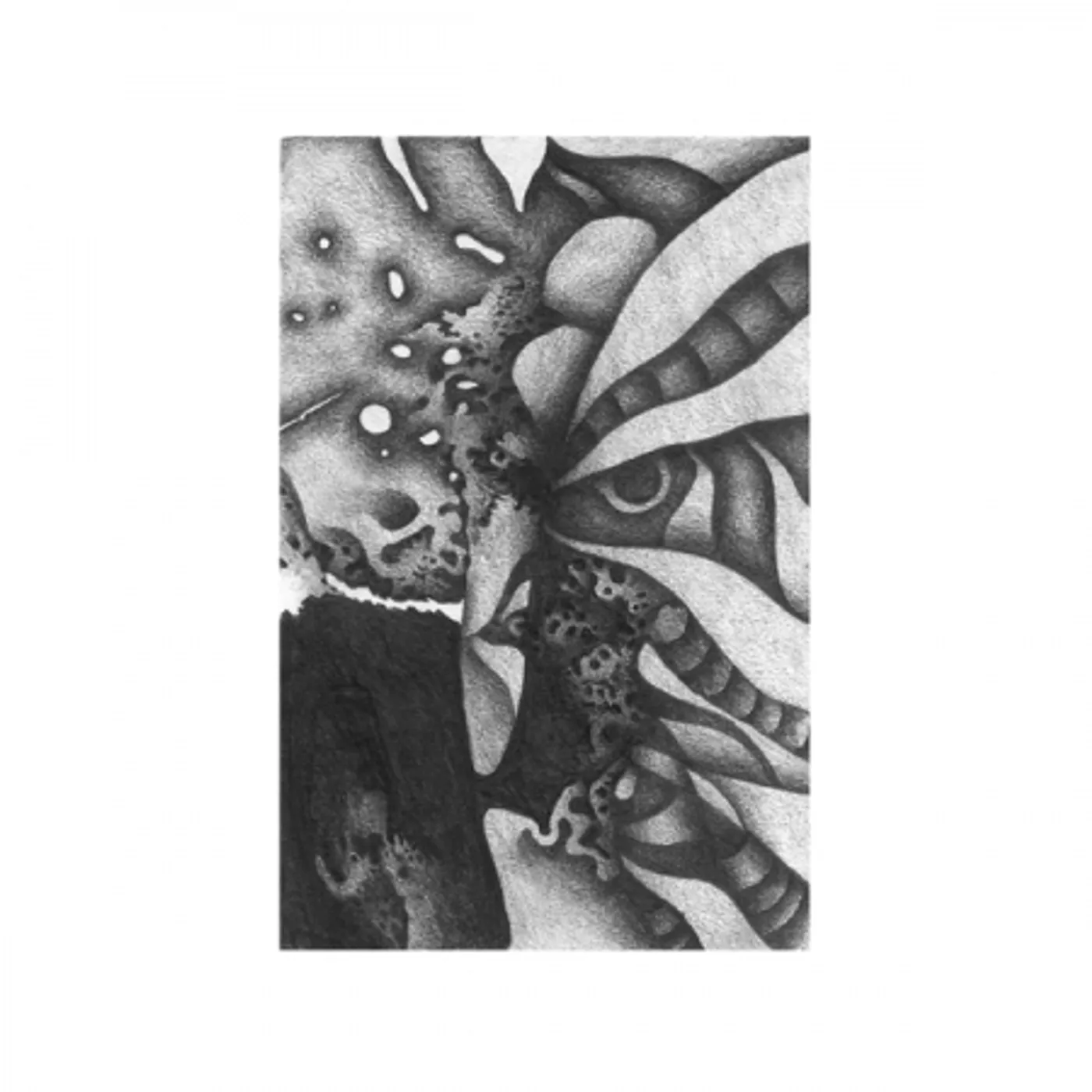 Vibracathedral Orchestra Rec Blast Motorbike Vinyl Record