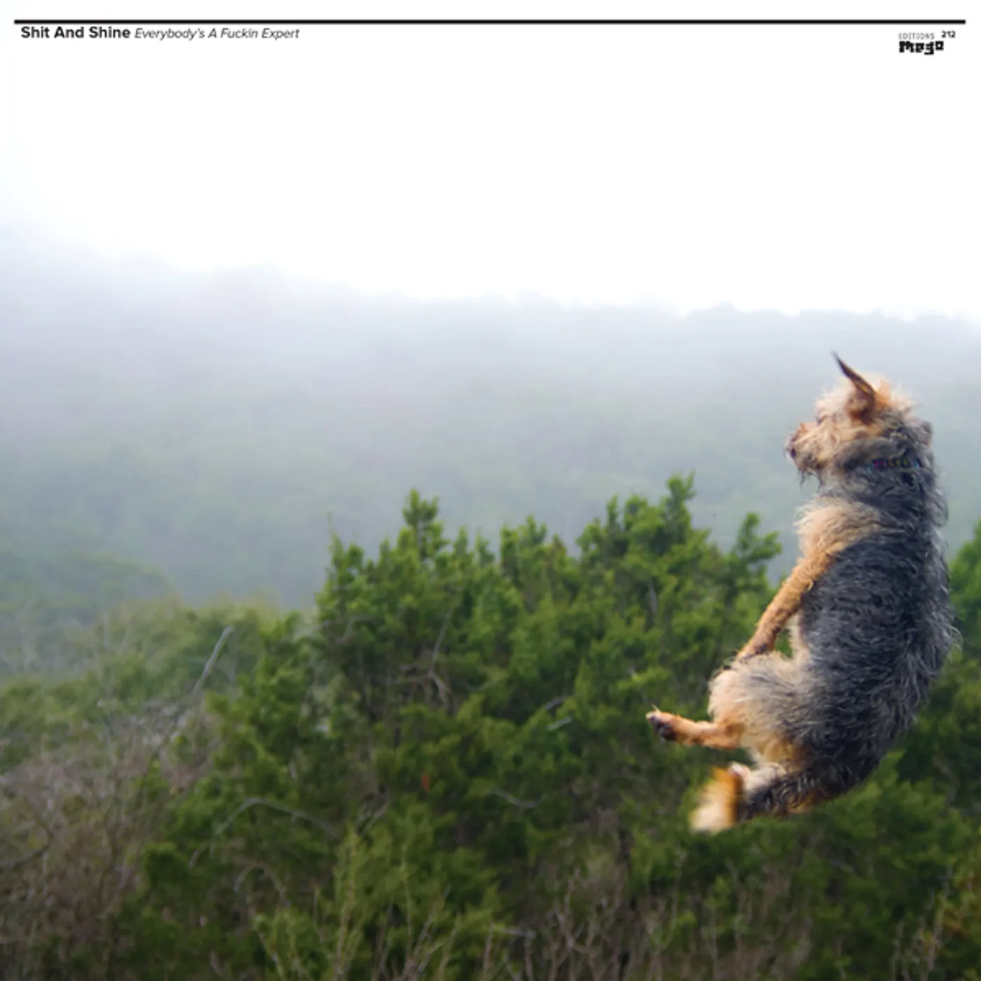 Shit And Shine Everybody's a Fuckin Expert Vinyl Record