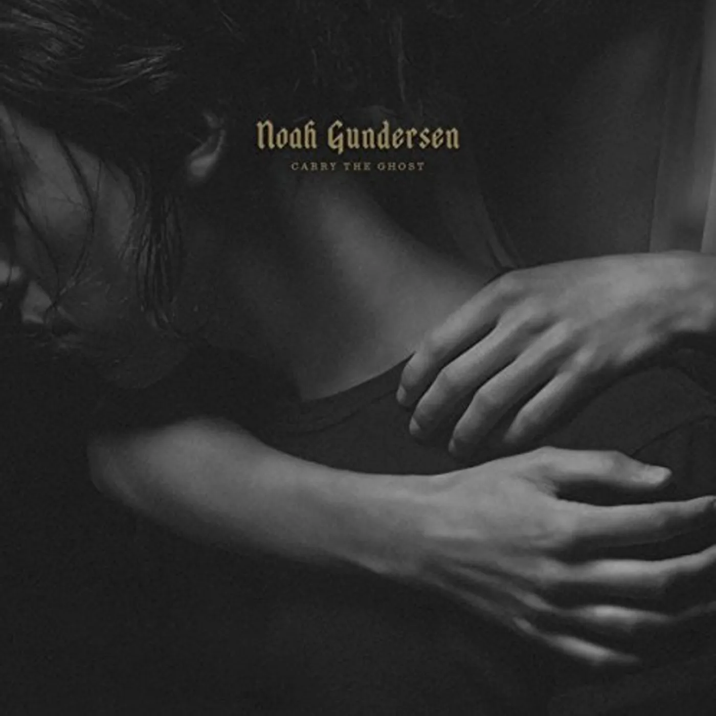 Noah Gundersen Carry The Ghost Vinyl Record