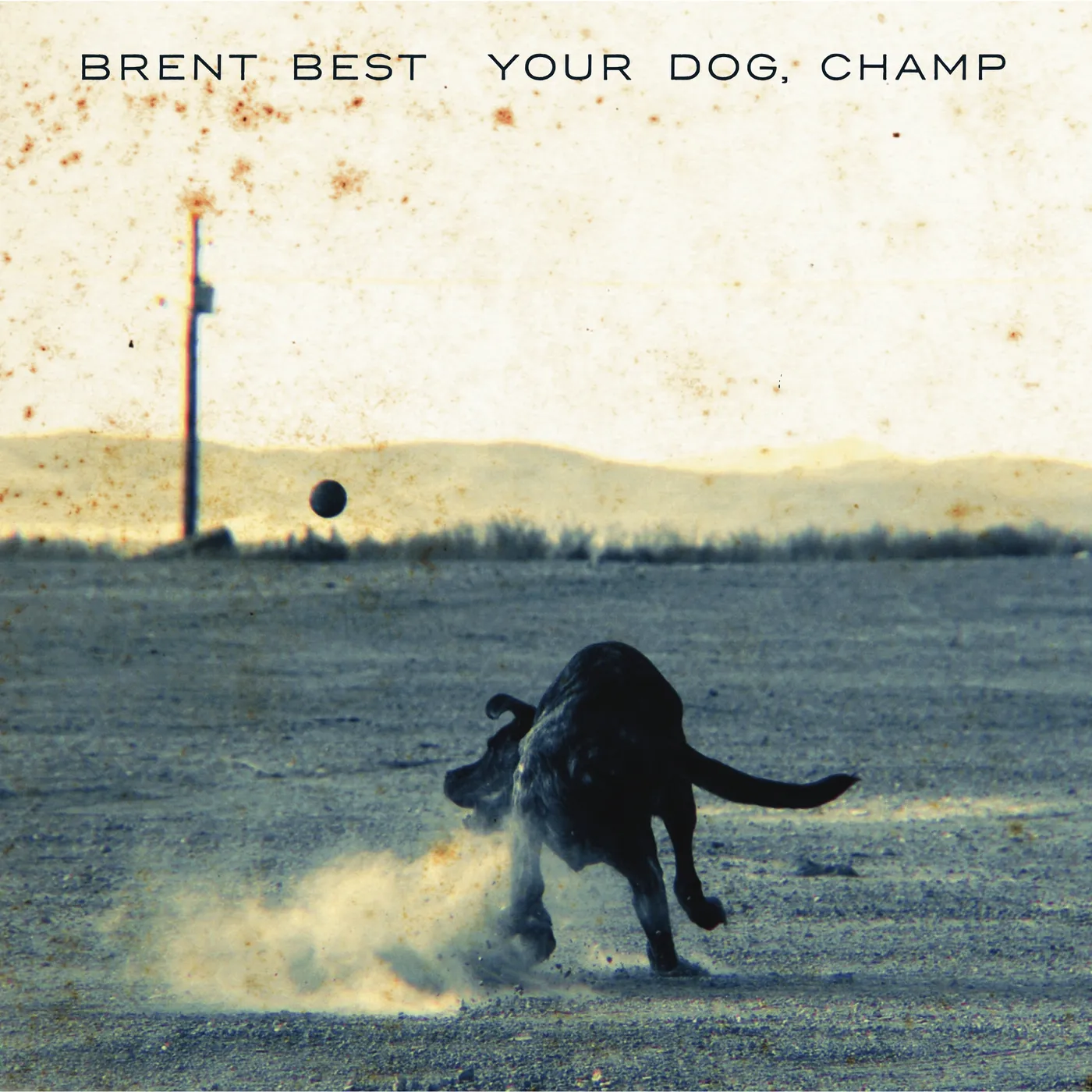 Brent Best YOUR DOG CHAMP CD