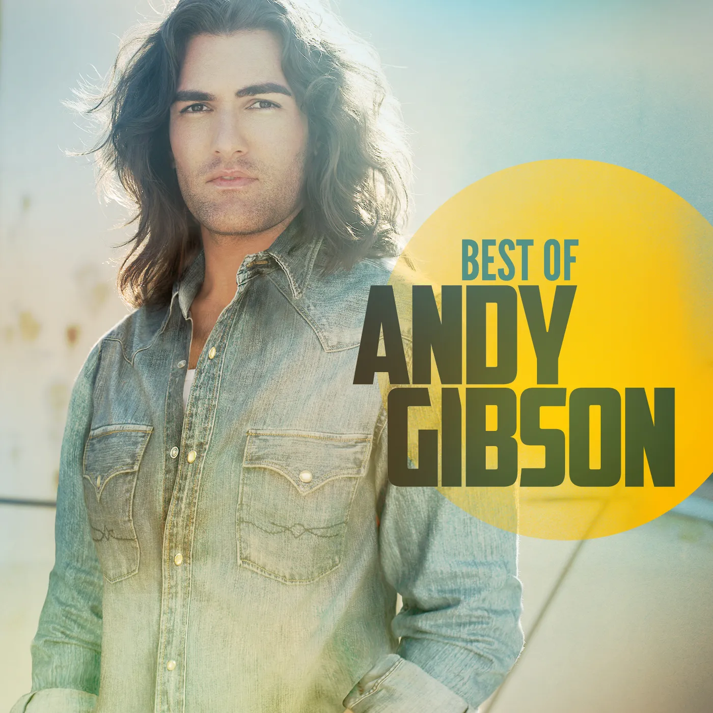 Andy Gibson BEST OF CD
