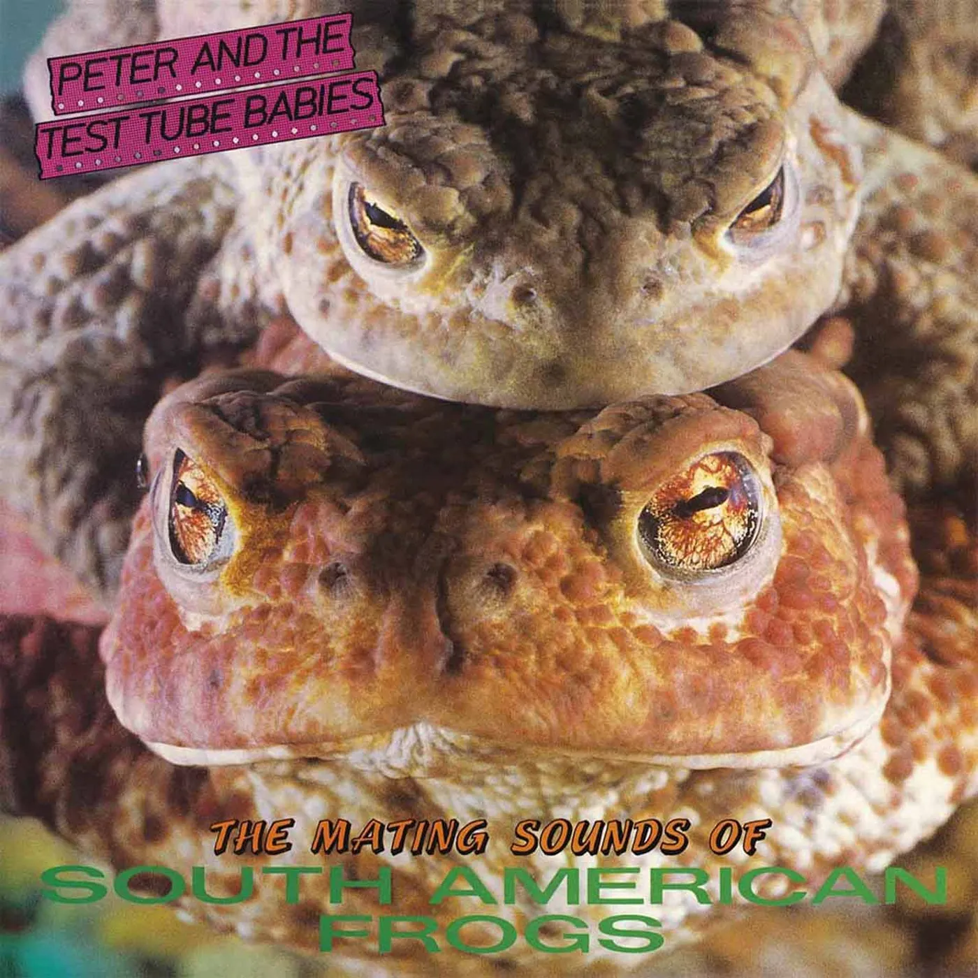 Peter and the Test Tube Babies MATING SOUNDS OF SOUTH AMERICAN FROGS Vinyl Record