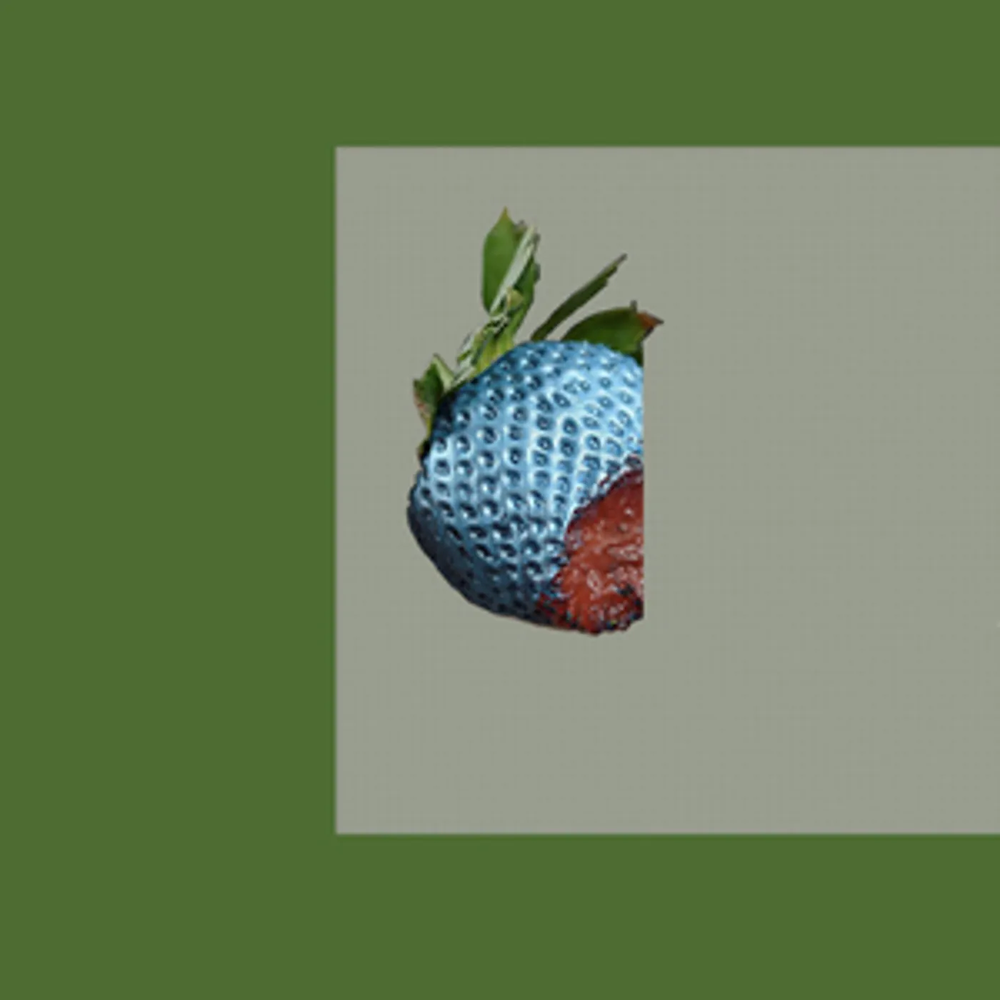 Bichkraft Mascot Vinyl Record