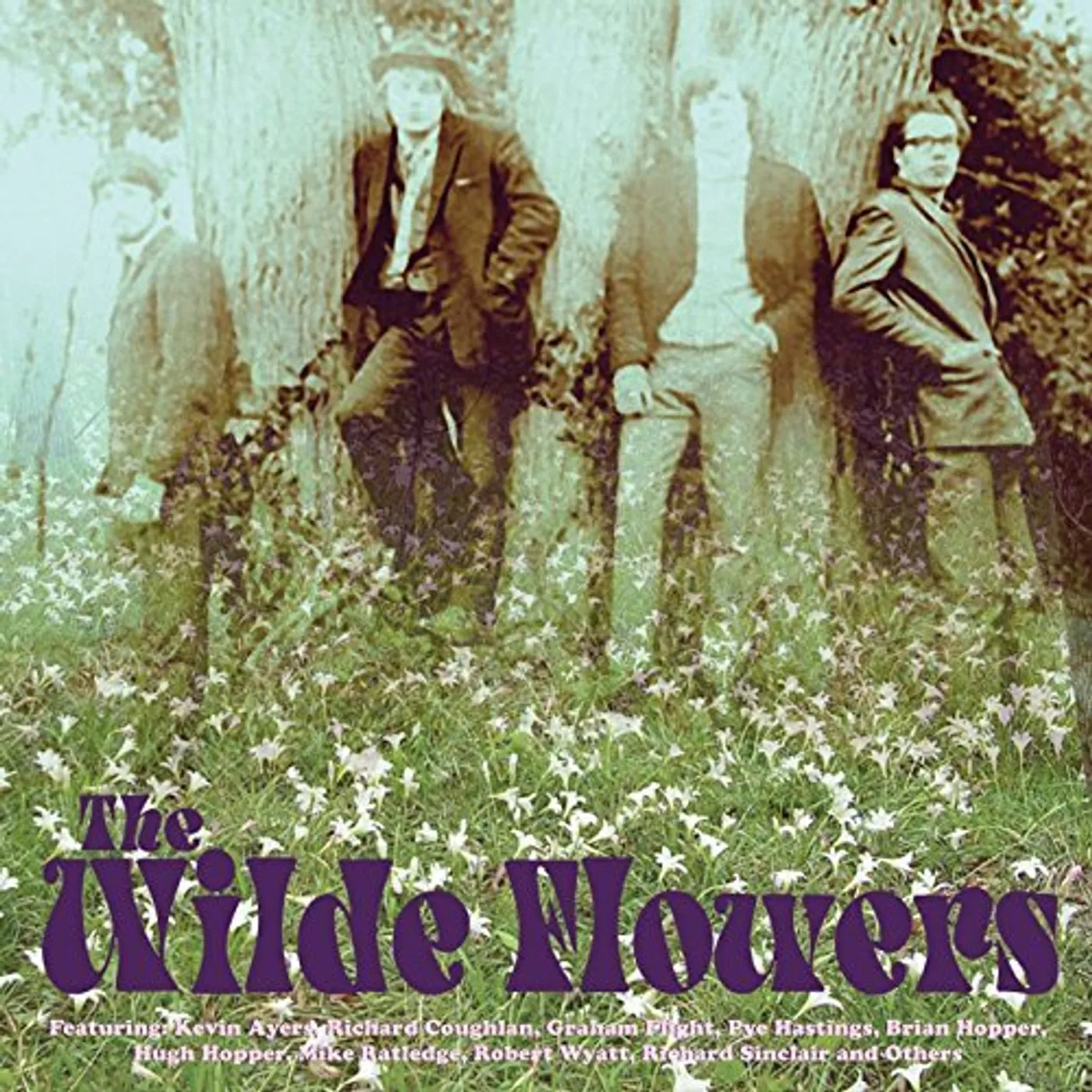 The Wilde Flowers CD