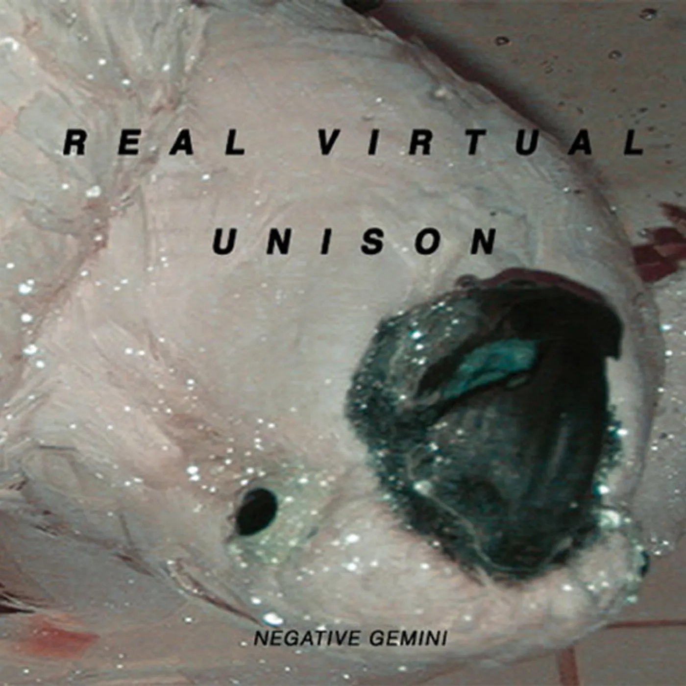 NEGATIVE GEMINI Real Virtual Unison Vinyl Record