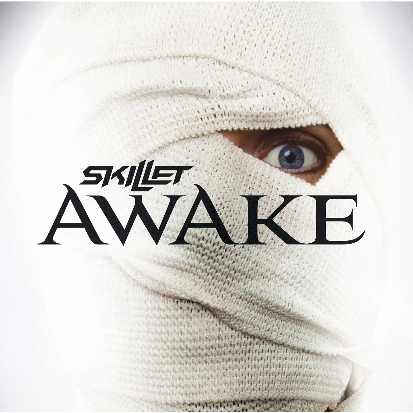 Skillet Awake Vinyl Record