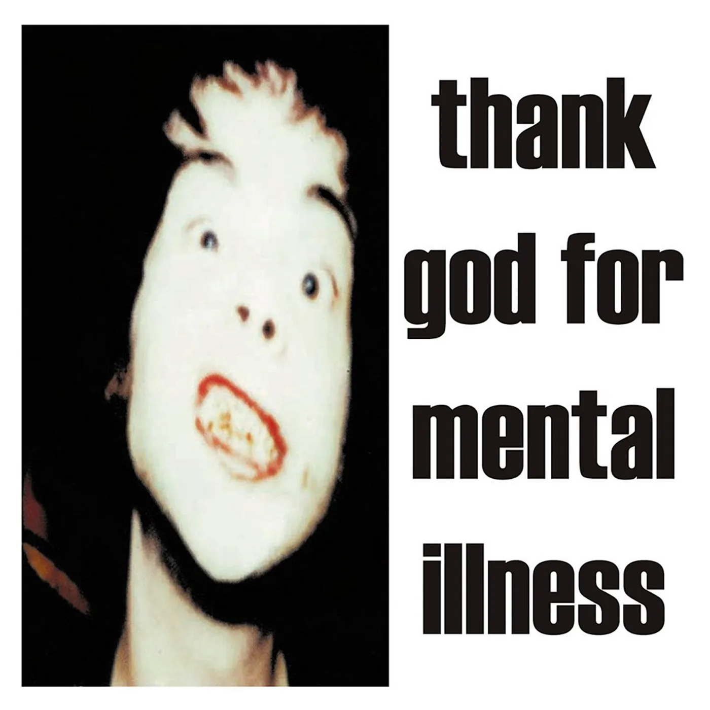 The Brian Jonestown Massacre Thank God For Mental Illness Vinyl Record
