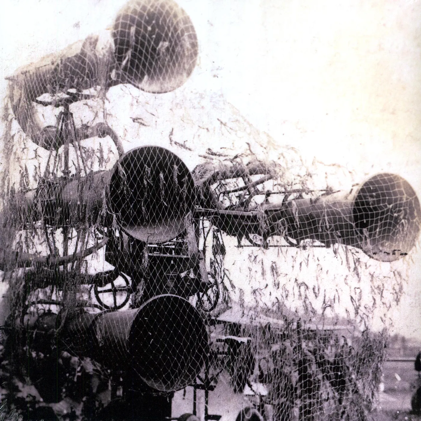 Bass Communion Molotov And Haze Vinyl Record