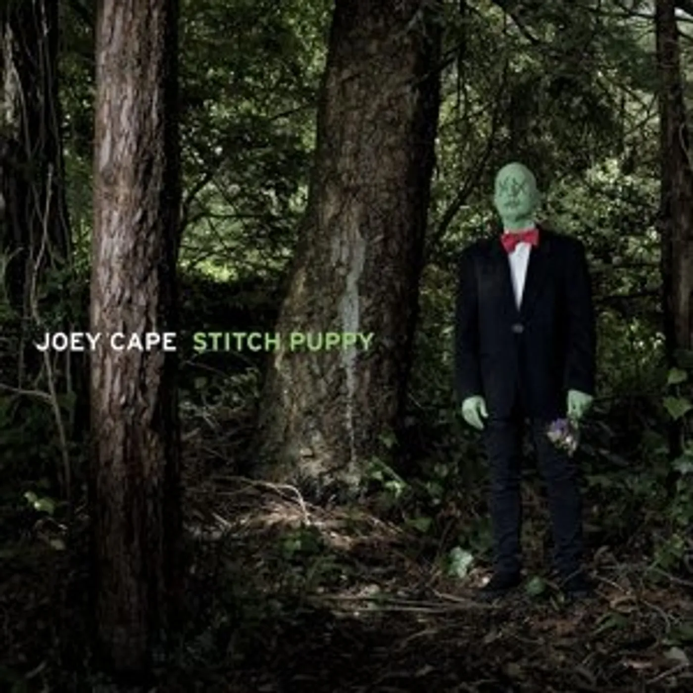 Joey Cape STITCH PUPPY CD