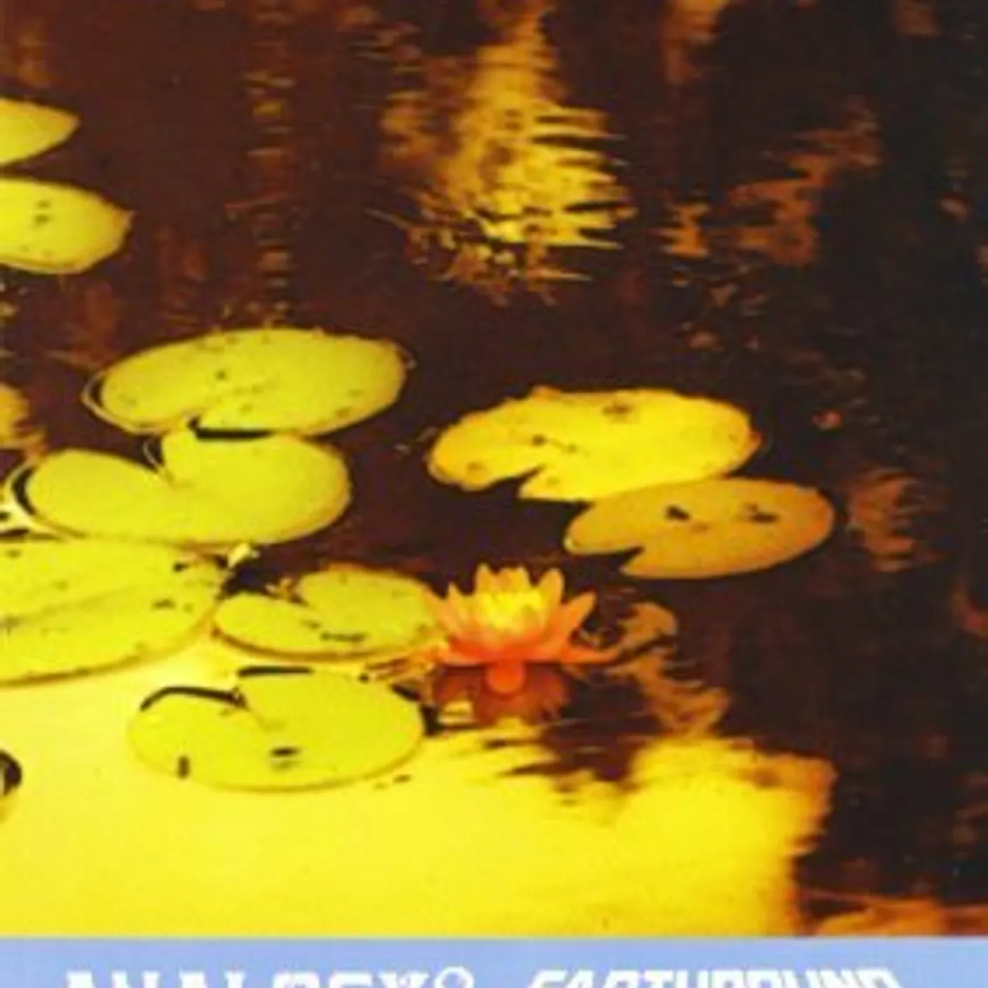 Analogy COMPLETE WORKS CD