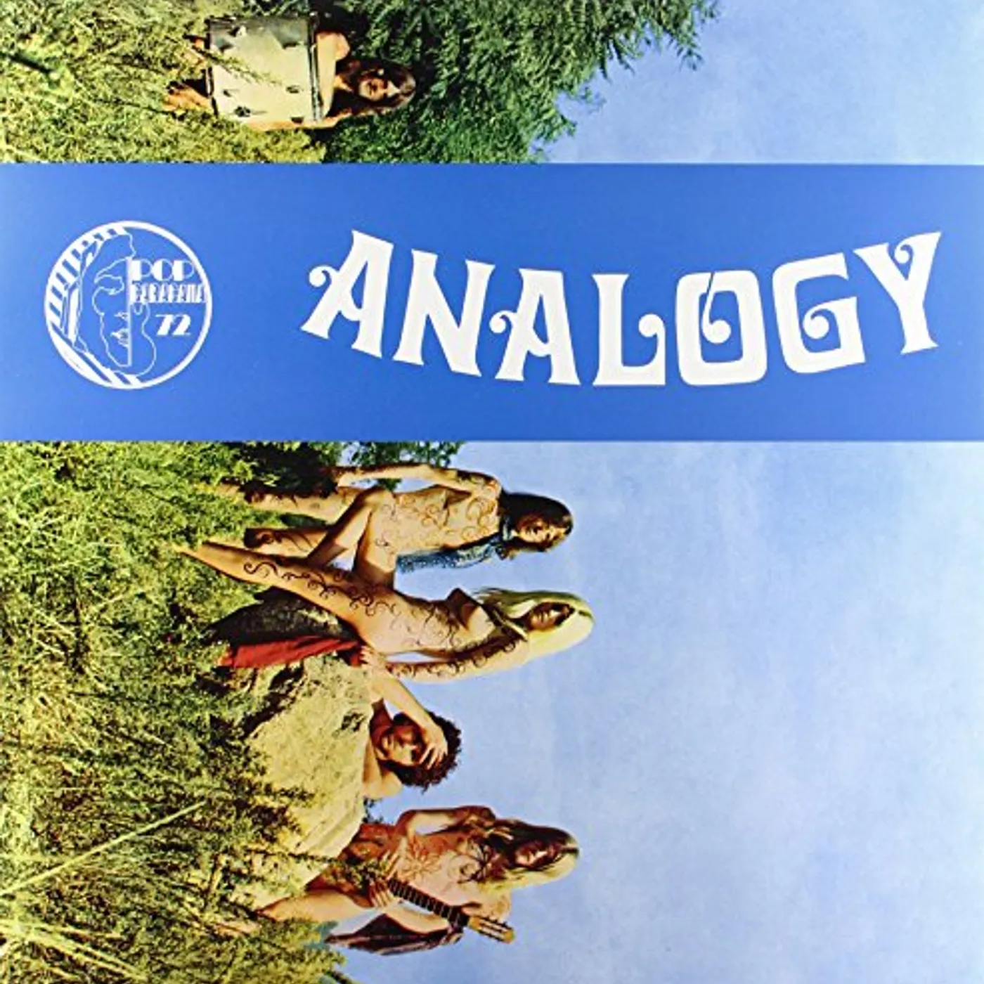 Analogy Vinyl Record