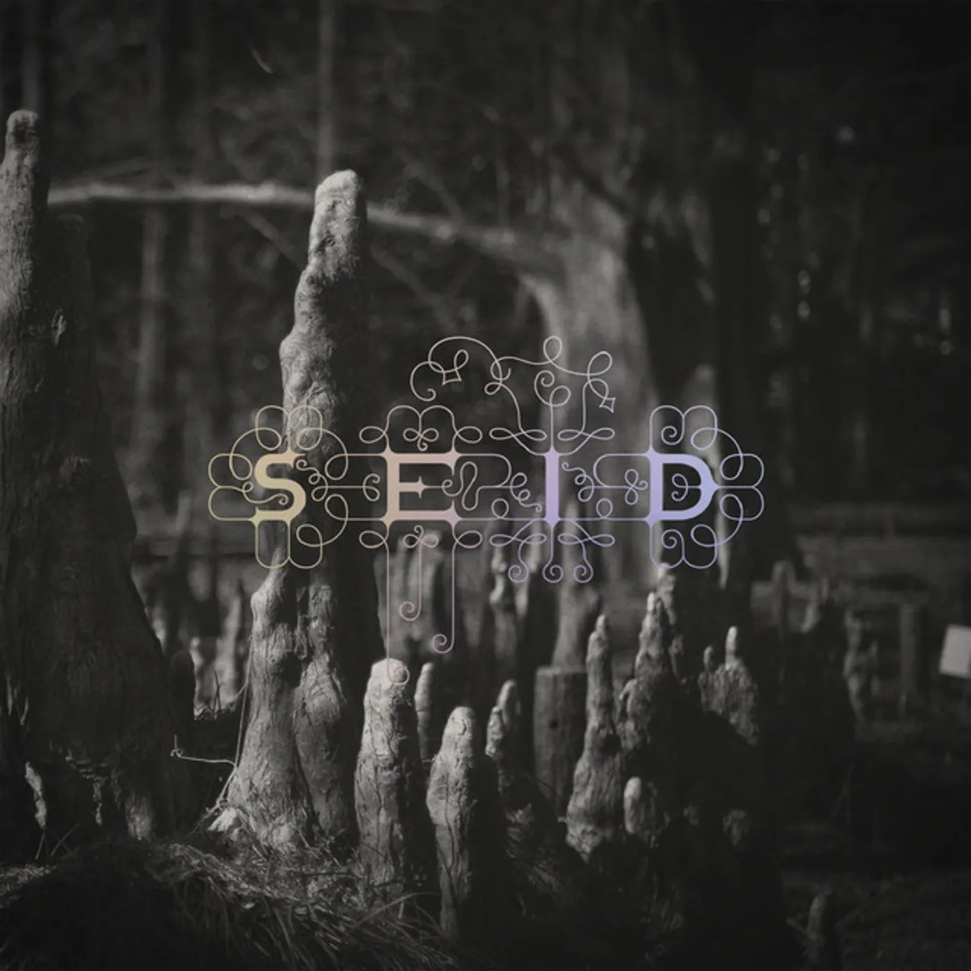 Seid Magic Handshake Vinyl Record