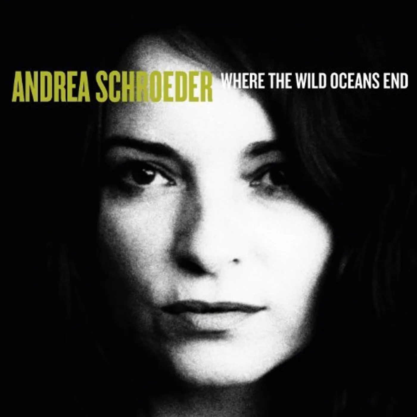 Andrea Schroeder Where the Wild Oceans End Vinyl Record