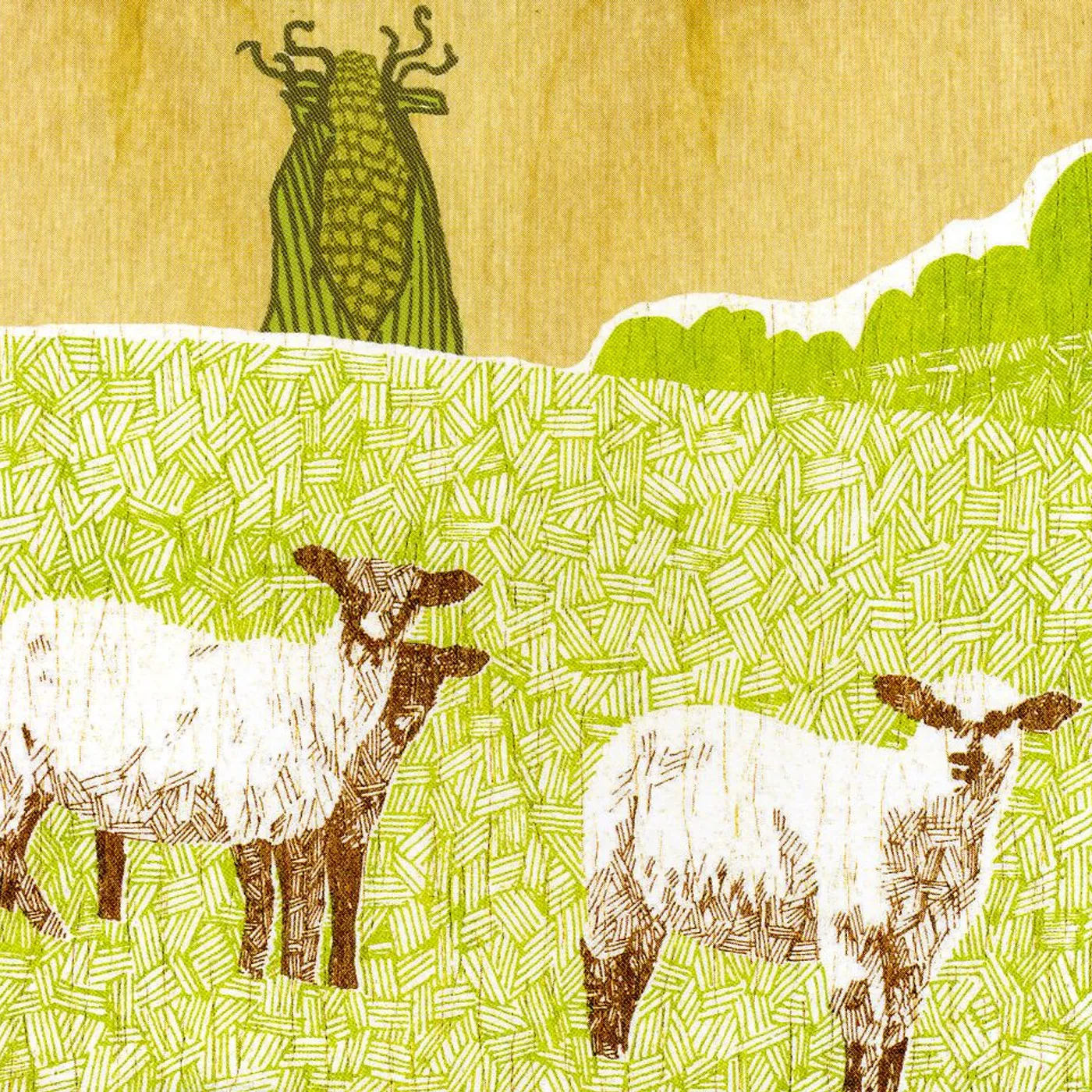 Flavor Crystals ON PLASTIC CD