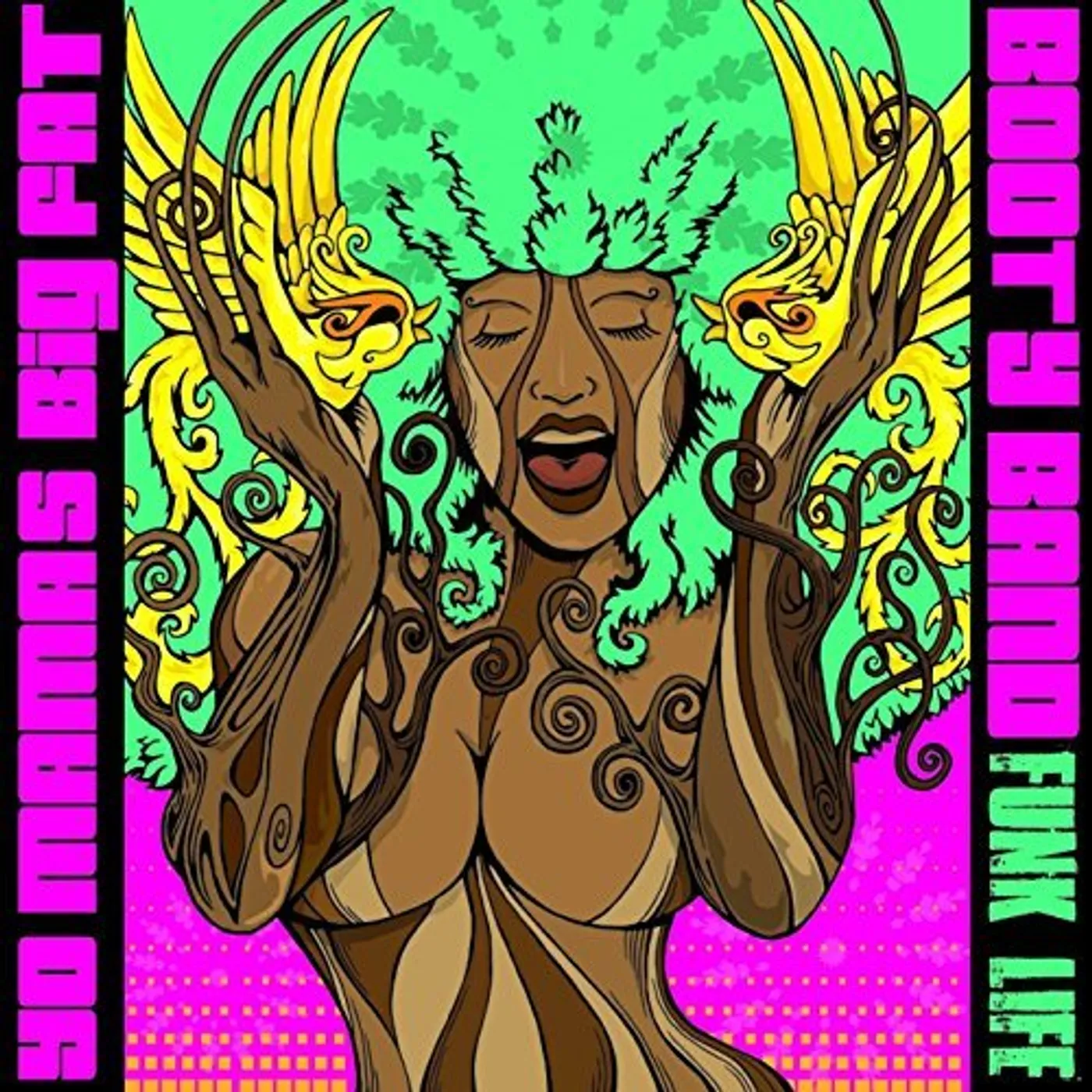 Yo Mama's Big Fat Booty Band FUNK LIFE CD