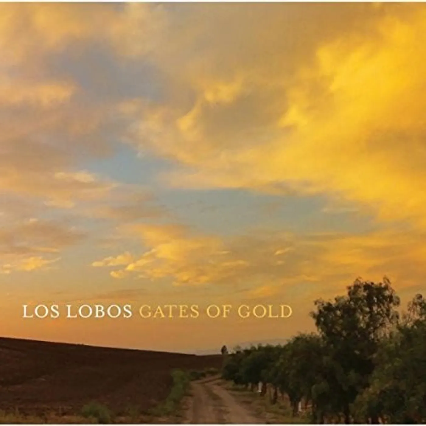 Los Lobos GATES OF GOLD CD