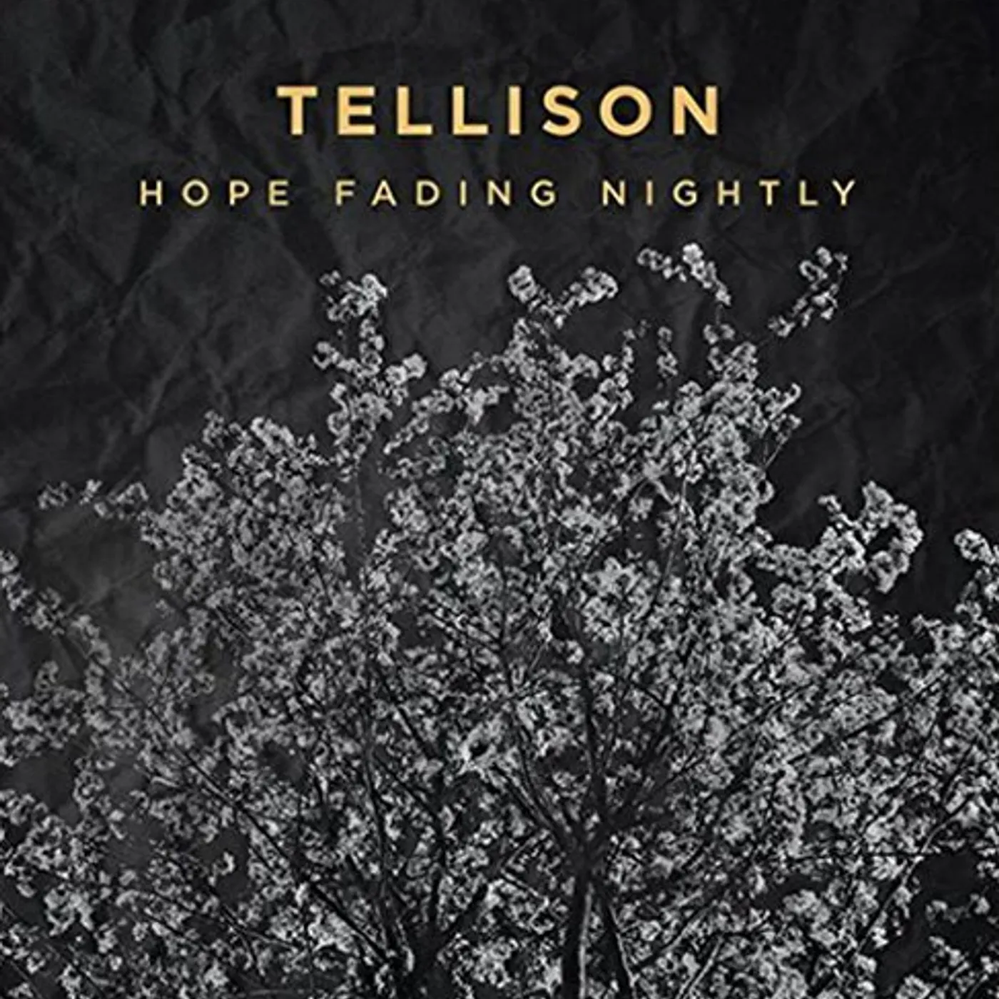 Tellison Hope Fading Nightly Vinyl Record