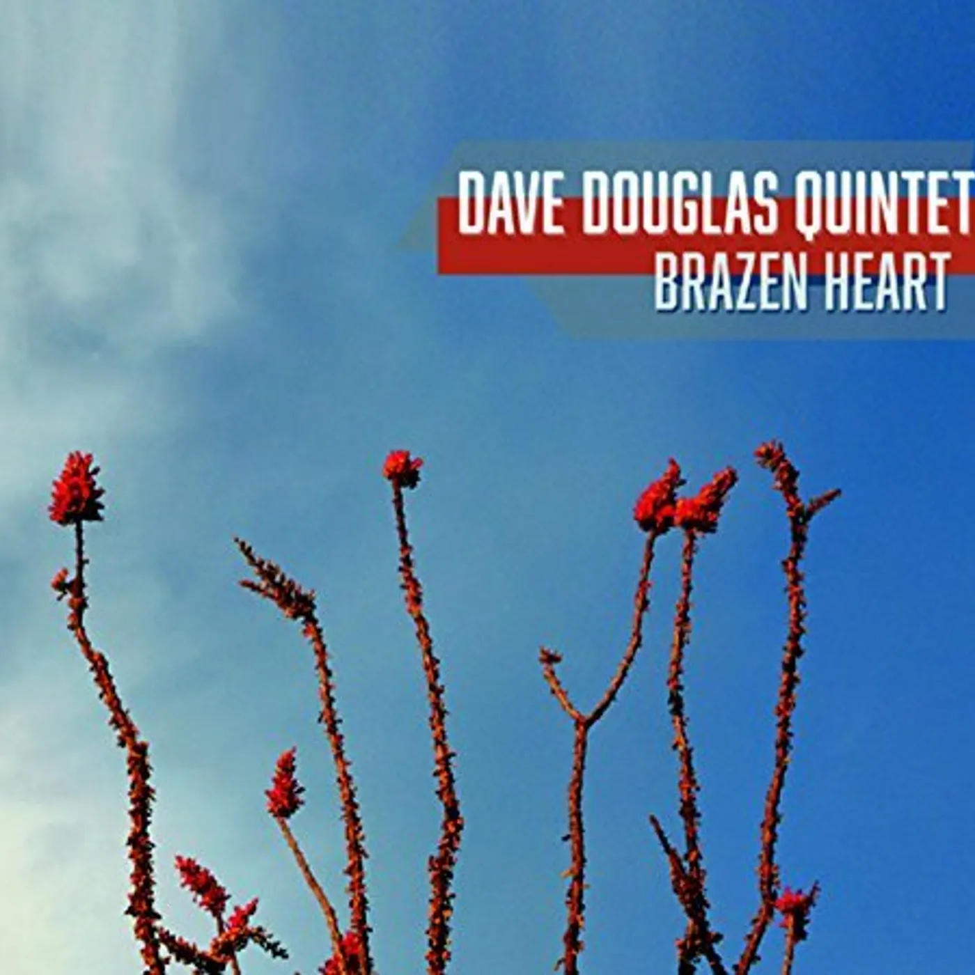 Dave Douglas BRAZEN HEART CD