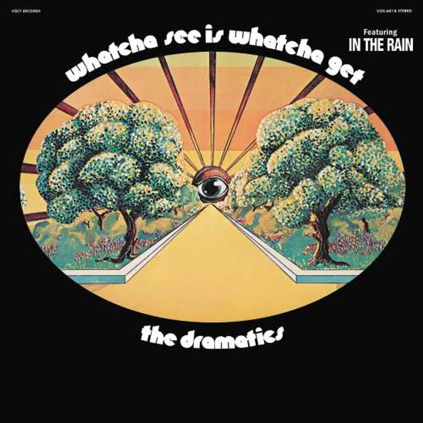 Dramatics Whatcha See Is Whatcha Get Vinyl Record