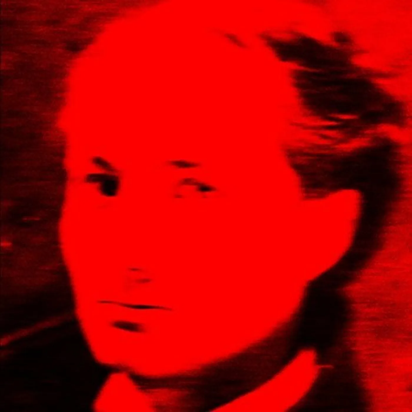 Tocotronic Rebel Boy Vinyl Record