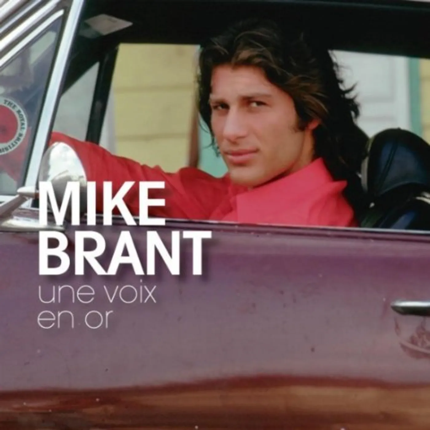 Mike Brant UNE VOIX EN OR CD