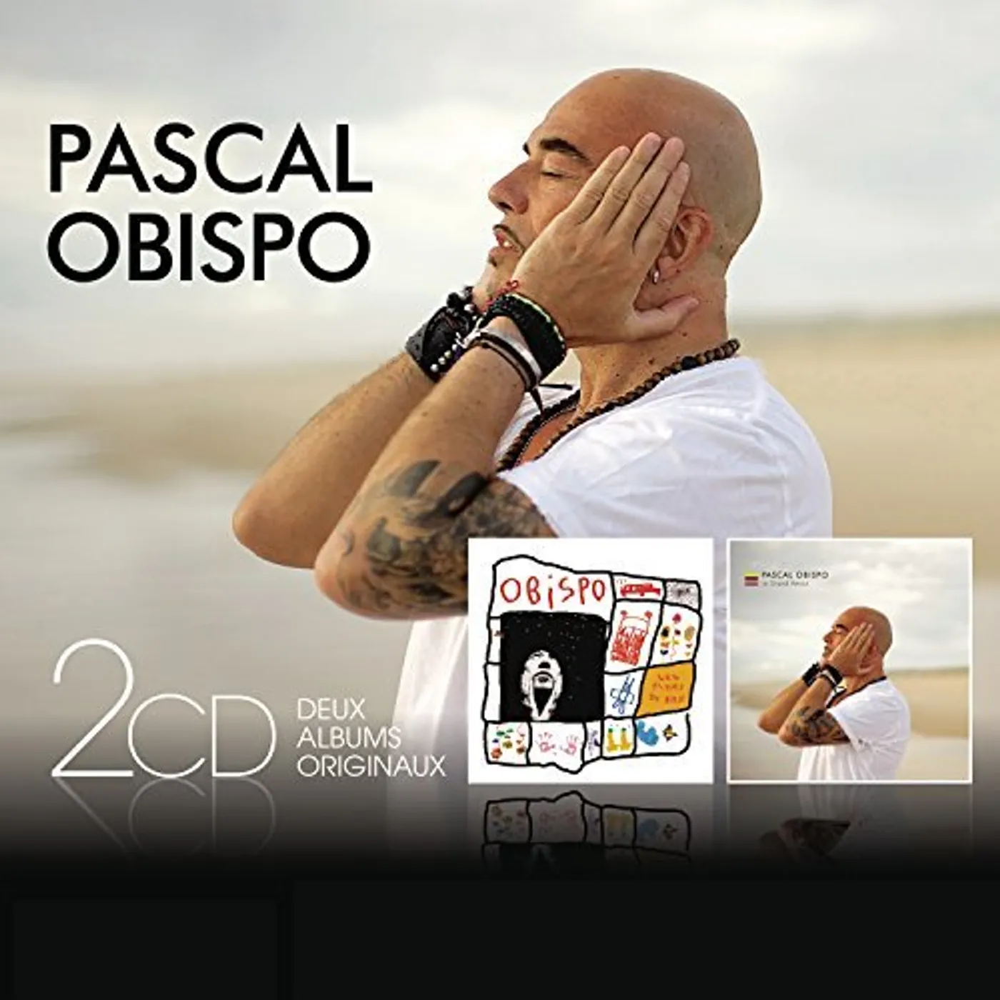 Pascal Obispo LES FLEURS DU BIEN / LE GRAND AMOUR CD
