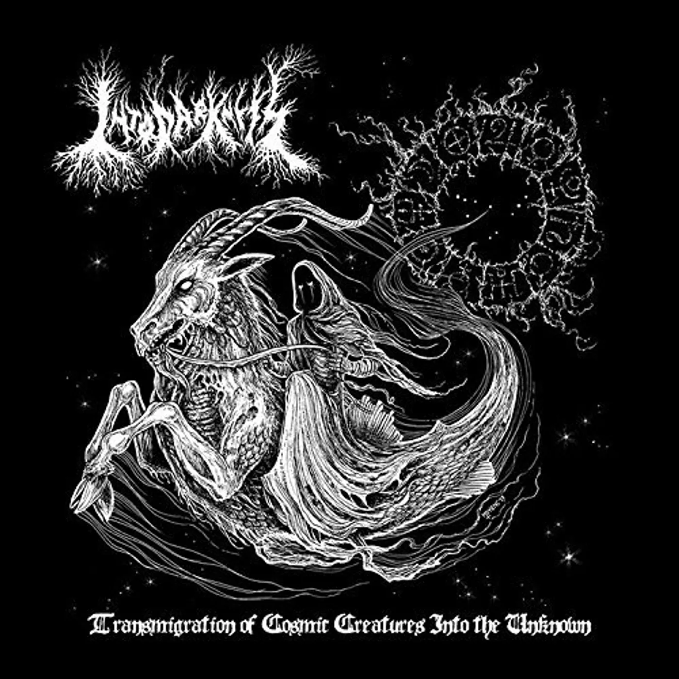 Into Darkness TRANSMIGRATION OF COSMIC CREATURES INTO THE UNKNOW Vinyl Record