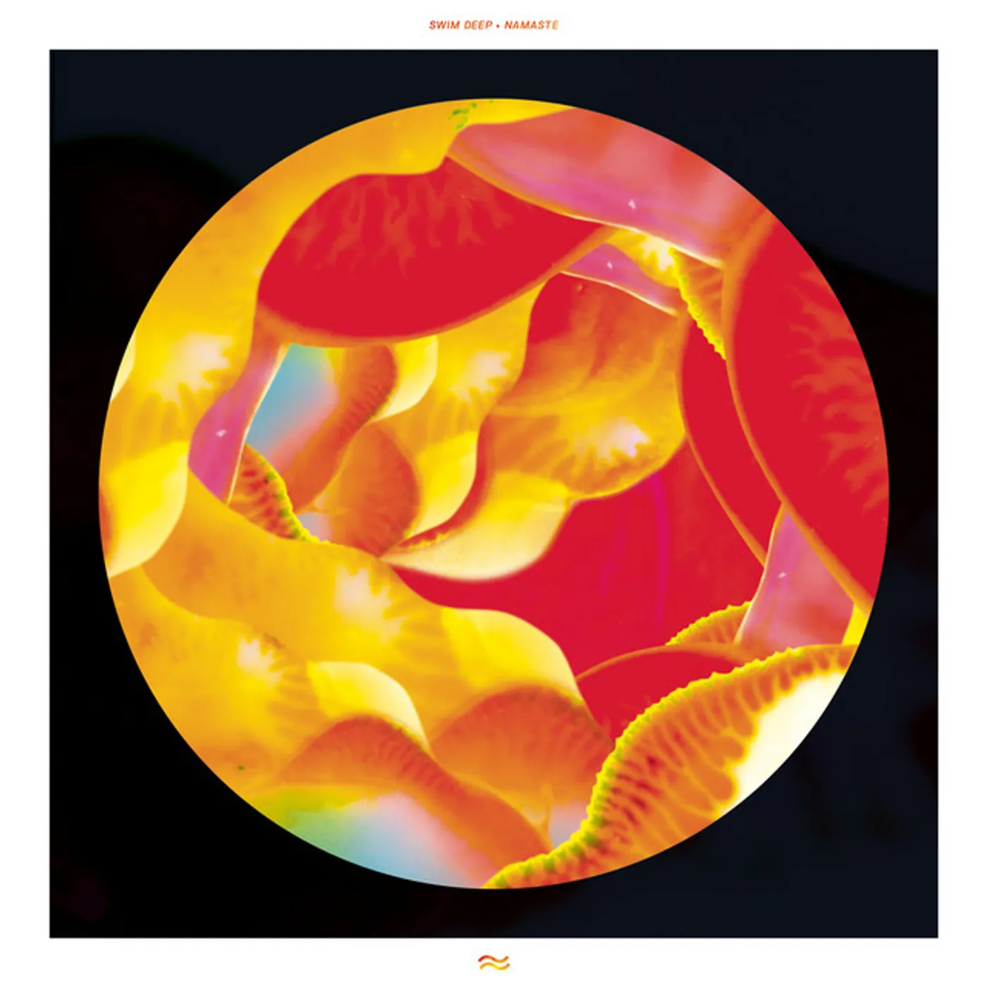 Swim Deep Namaste Vinyl Record