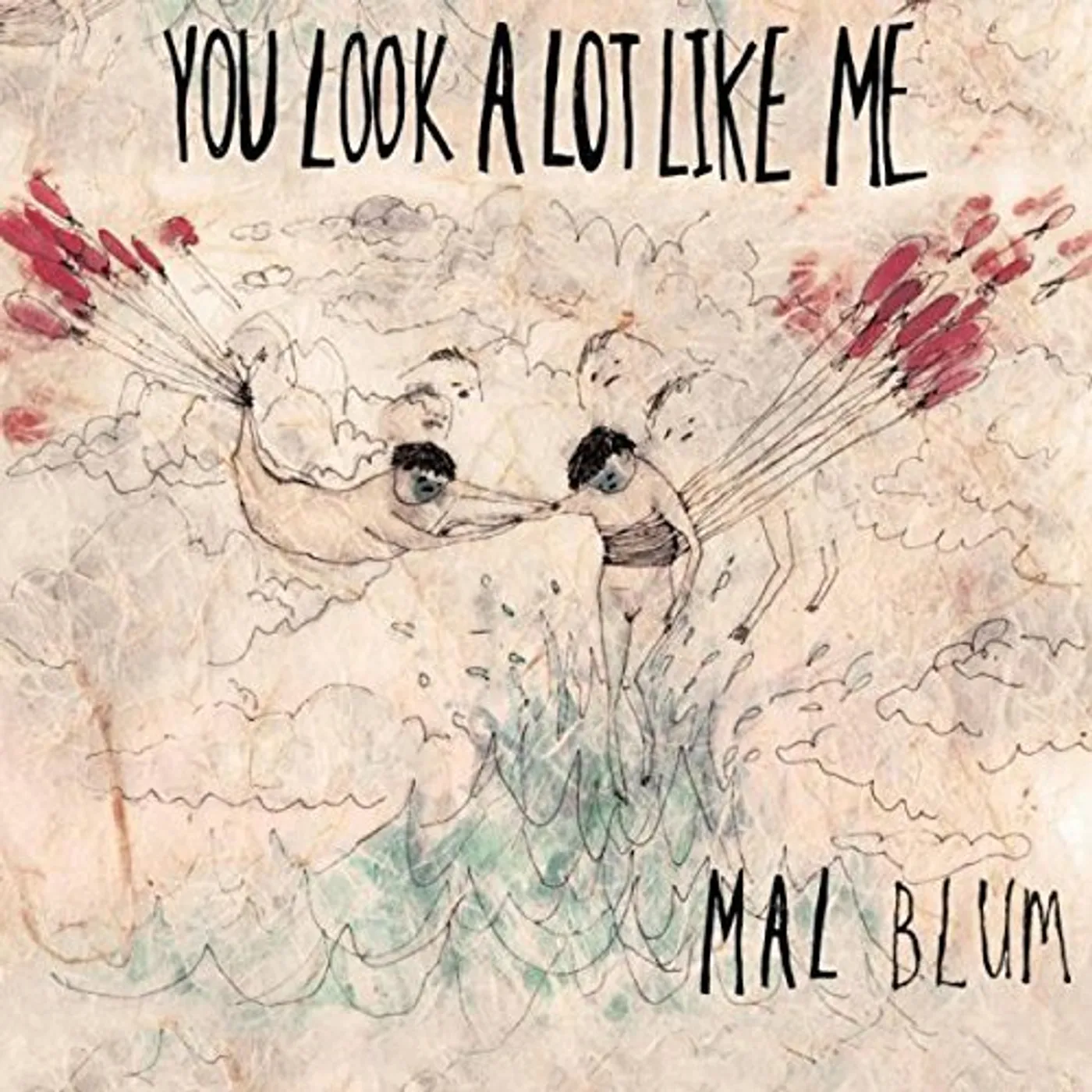 Mal Blum You Look A Lot Like Me Vinyl Record
