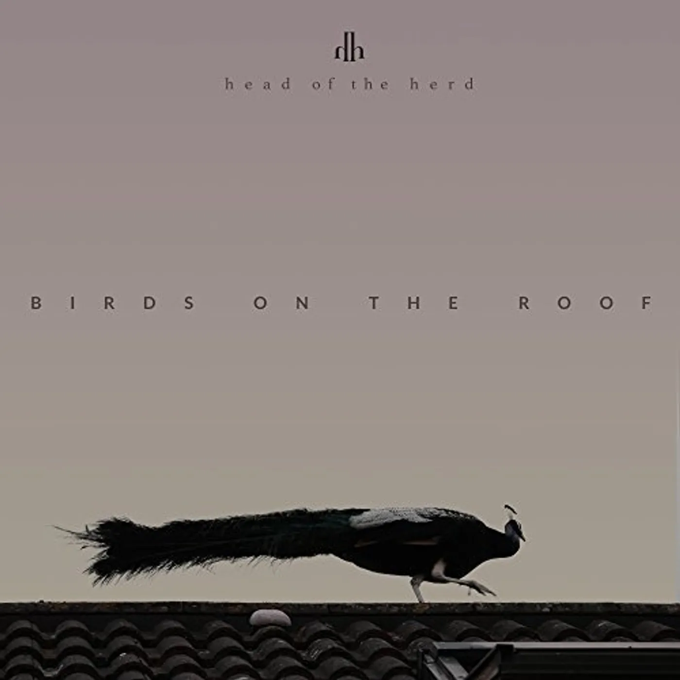 Head of the Herd BIRDS ON THE ROOF CD