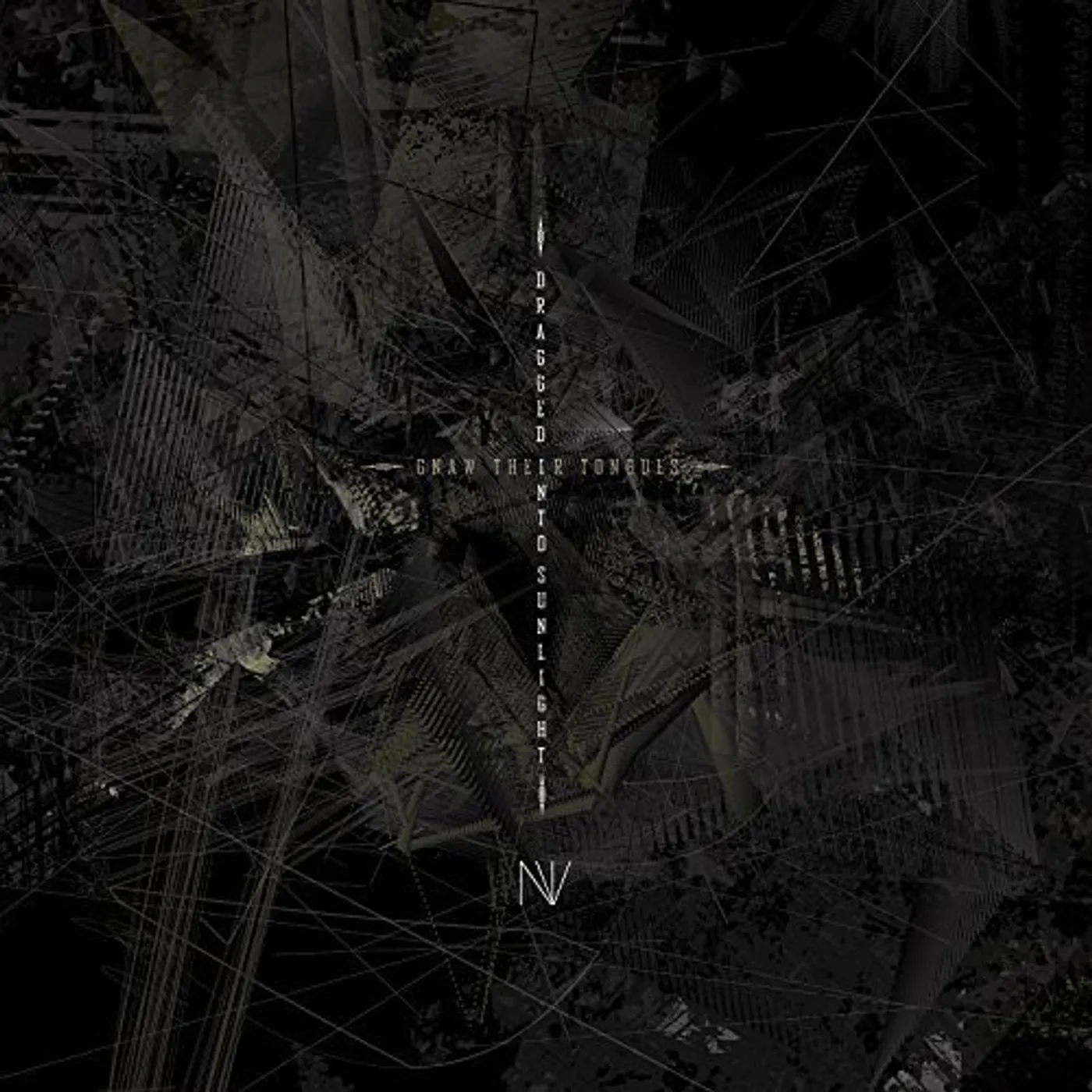 Dragged Into Sunlight NV Vinyl Record