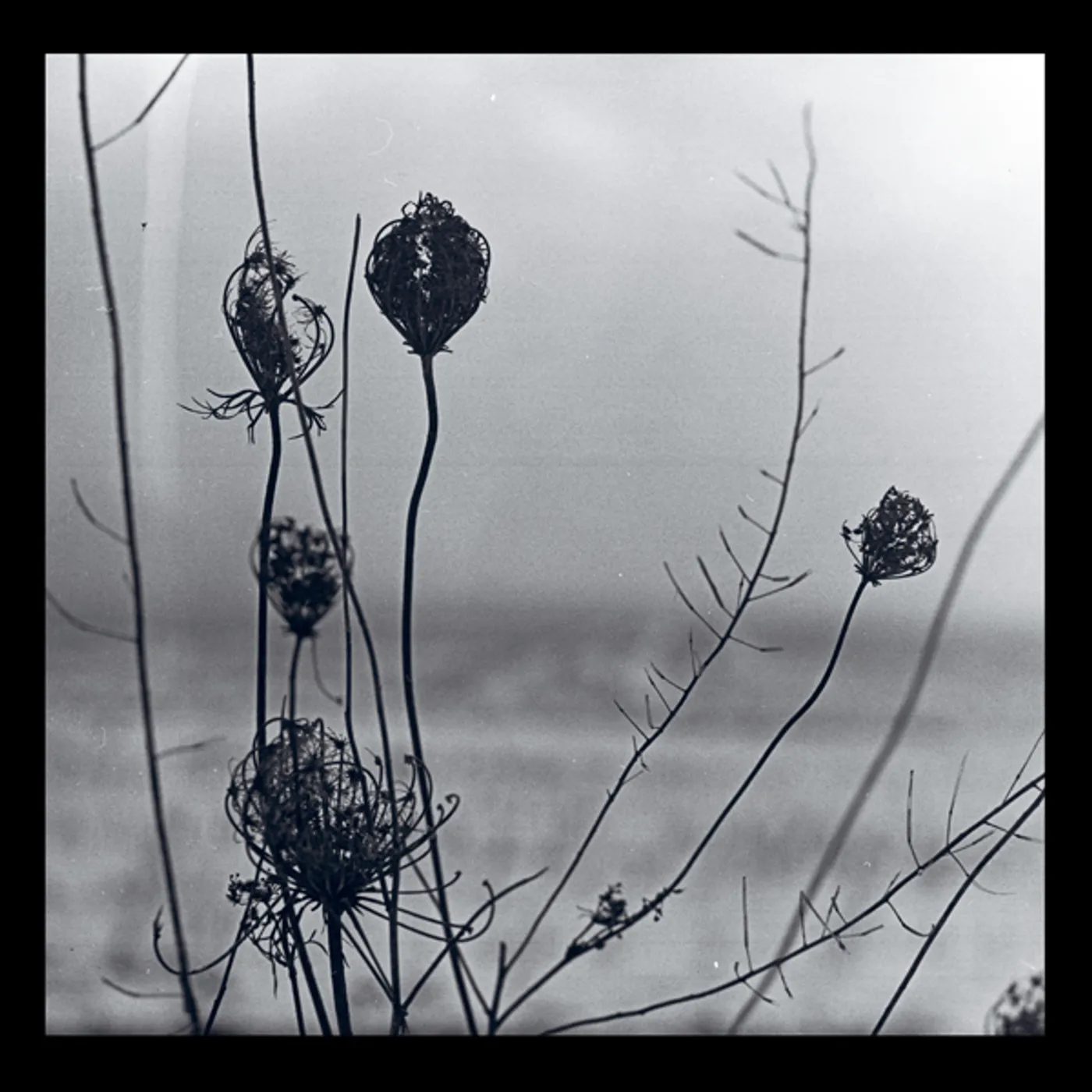 Recondite Placid Vinyl Record