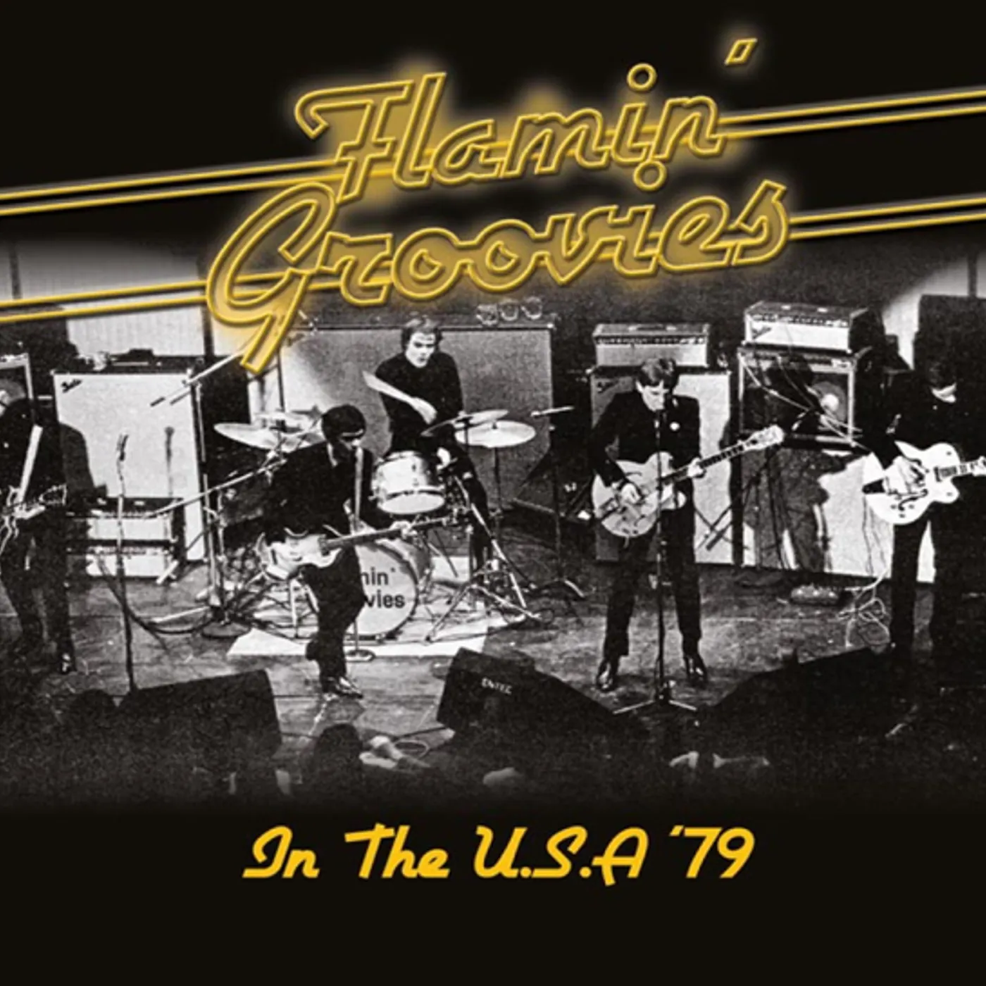 Flamin' Groovies IN THE U.S.A '79 CD